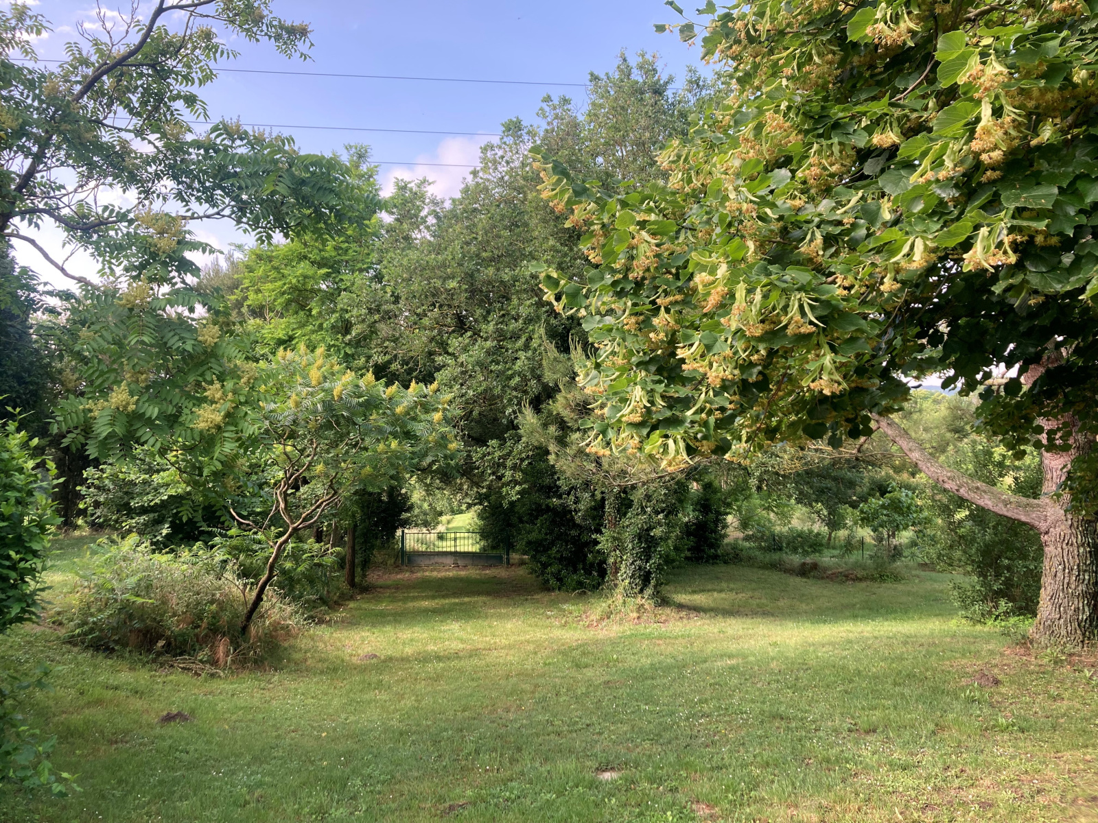 Image_18, Propriete, Mas-Saintes-Puelles, ref :5820