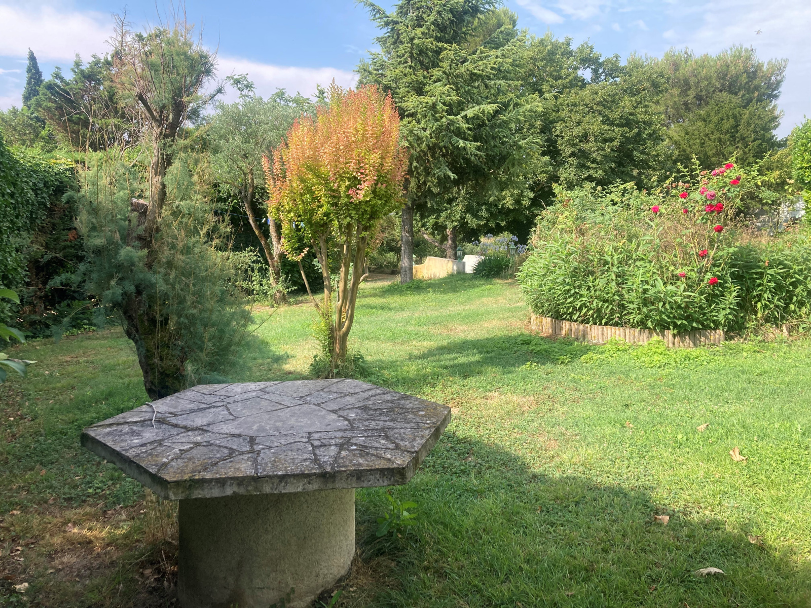 Image_16, Propriete, Mas-Saintes-Puelles, ref :5820