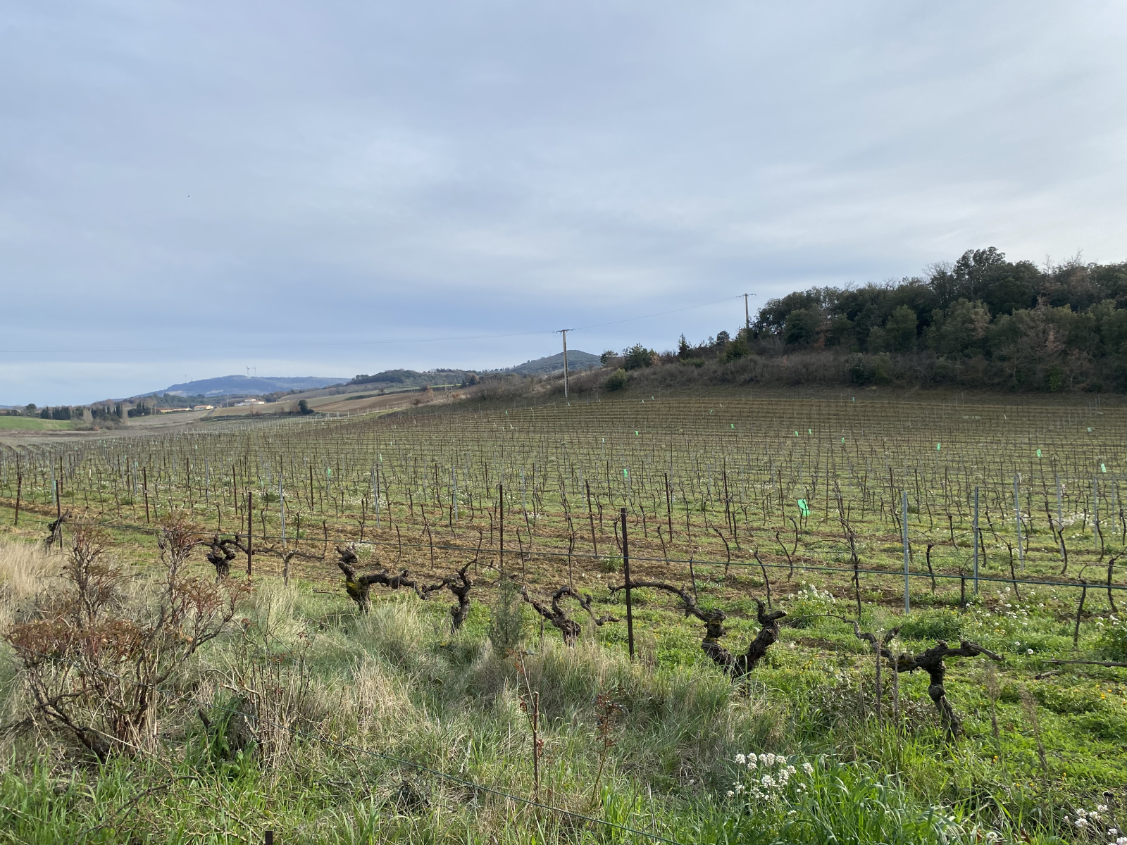 Image_4, Propriete, Ajac, ref :9111