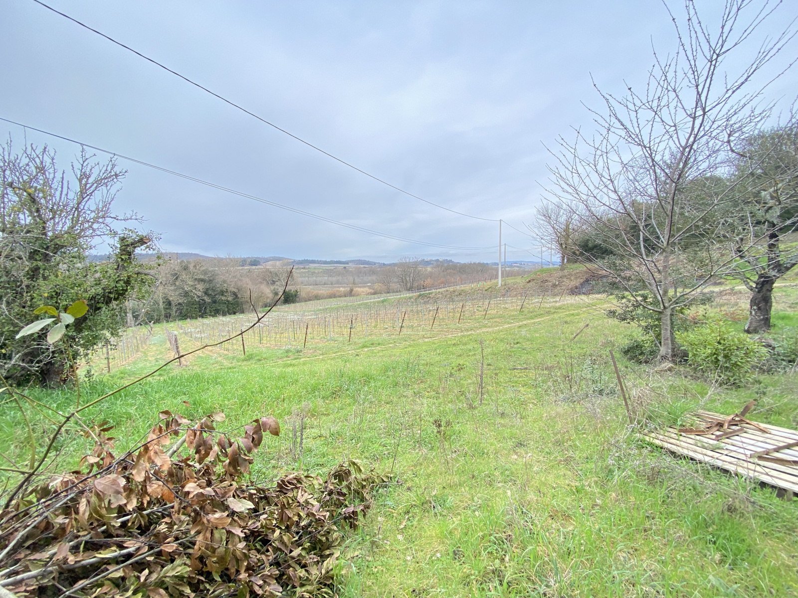 Image_25, Propriete, Ajac, ref :9111