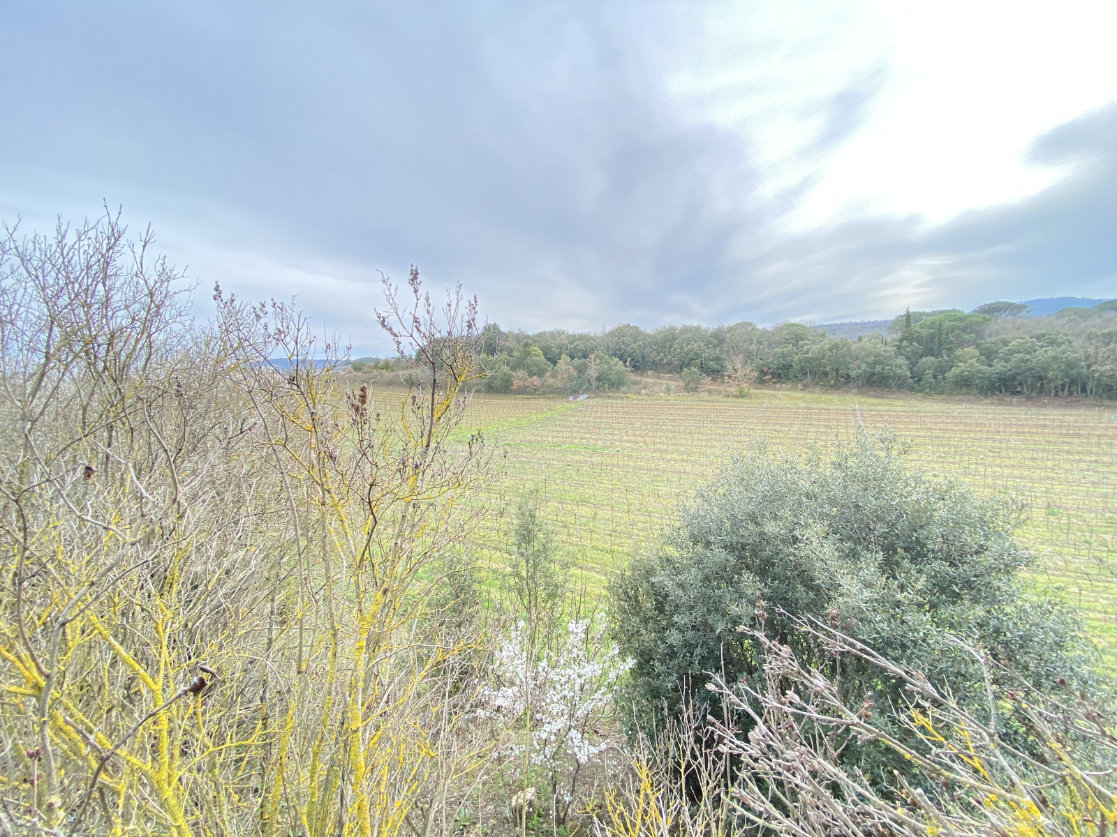 Image_17, Propriete, Ajac, ref :9111