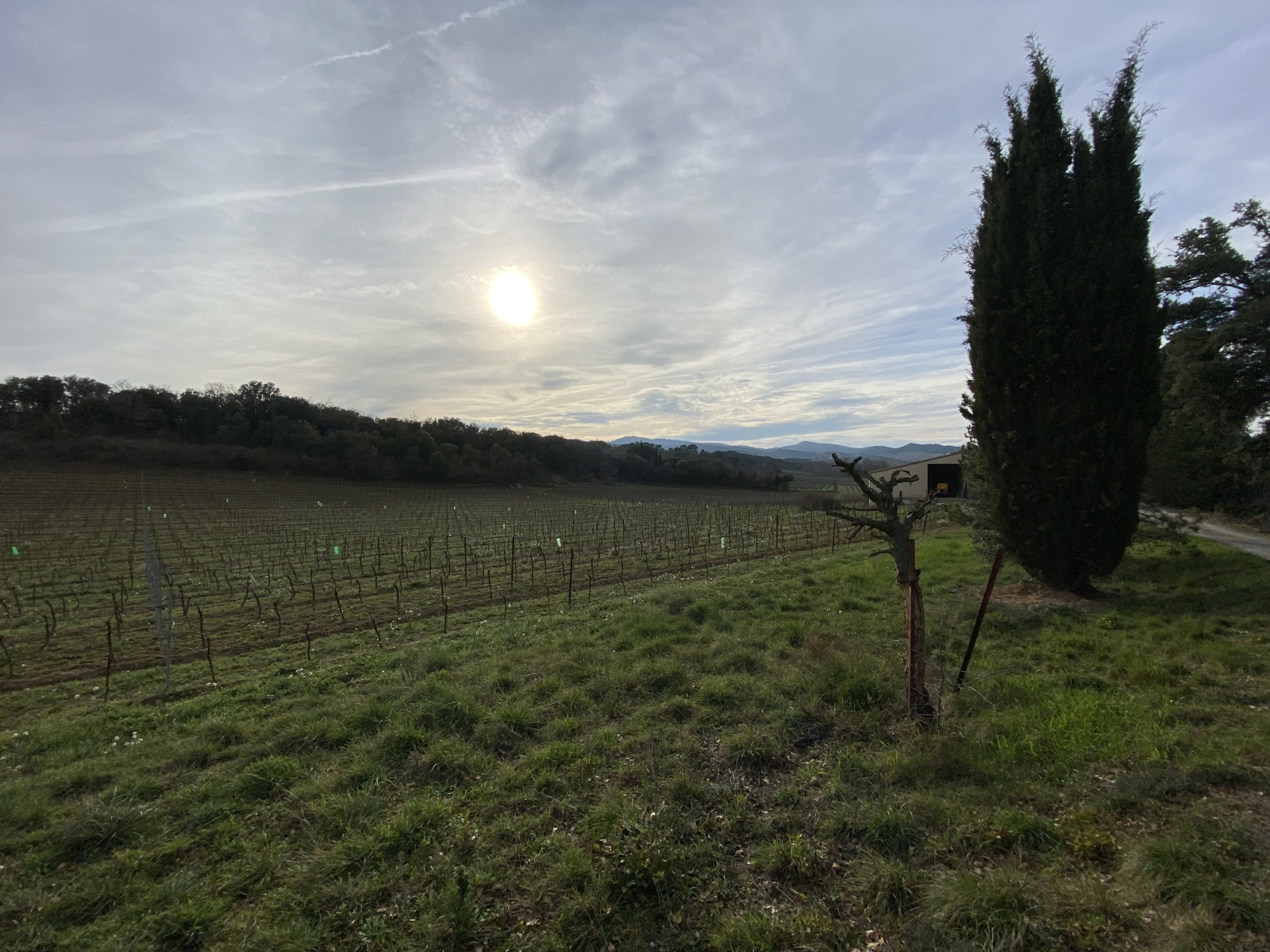 Image_24, Propriete, Ajac, ref :9111