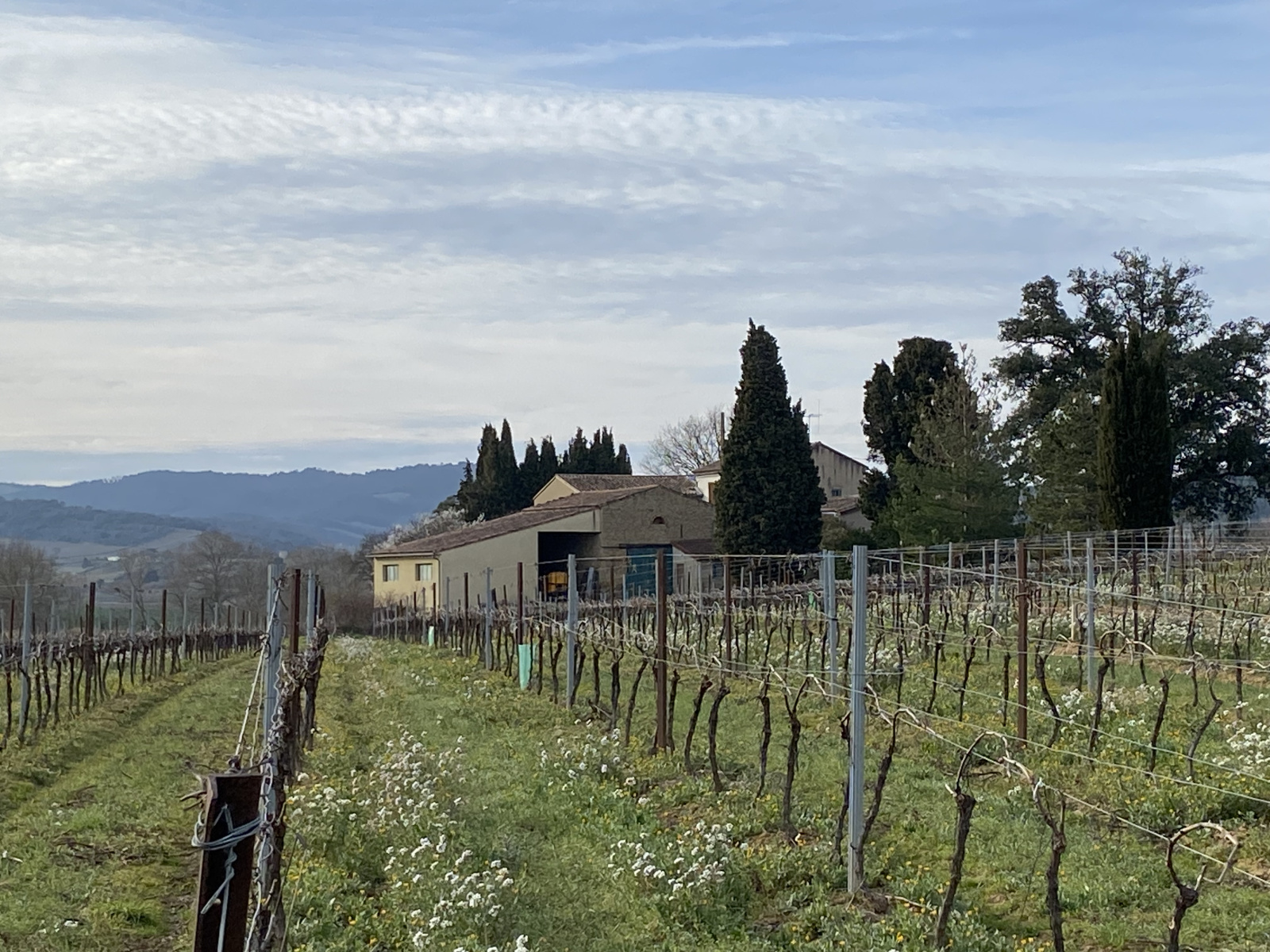 Image_1, Propriete, Ajac, ref :9111