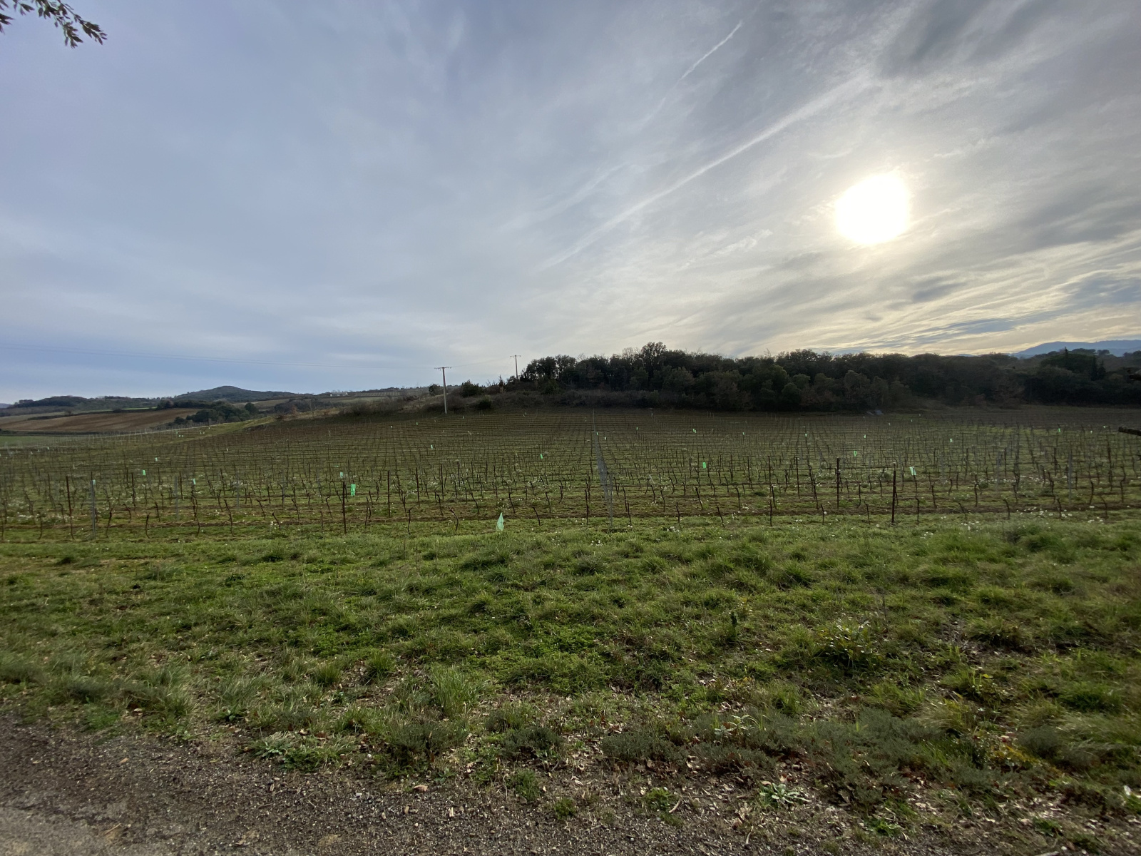 Image_2, Propriete, Ajac, ref :9111