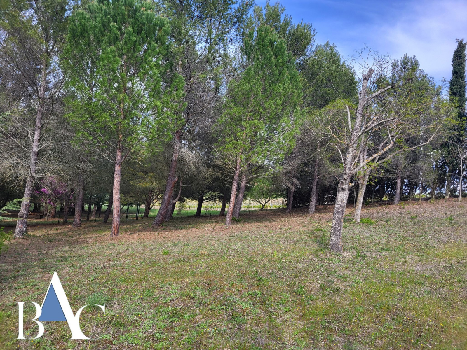 Image_1, Terrain, Limoux, ref :8903