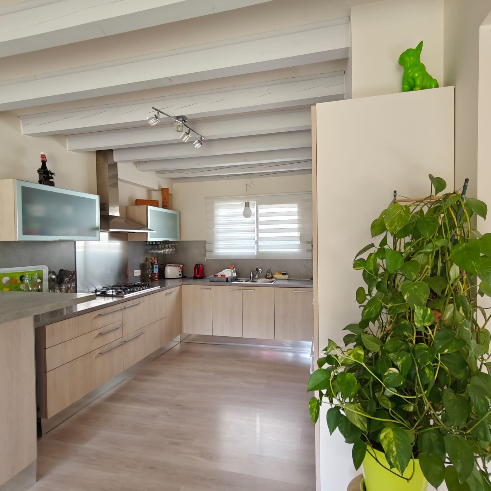 Image_5, Propriete, Tourreilles, ref :9256