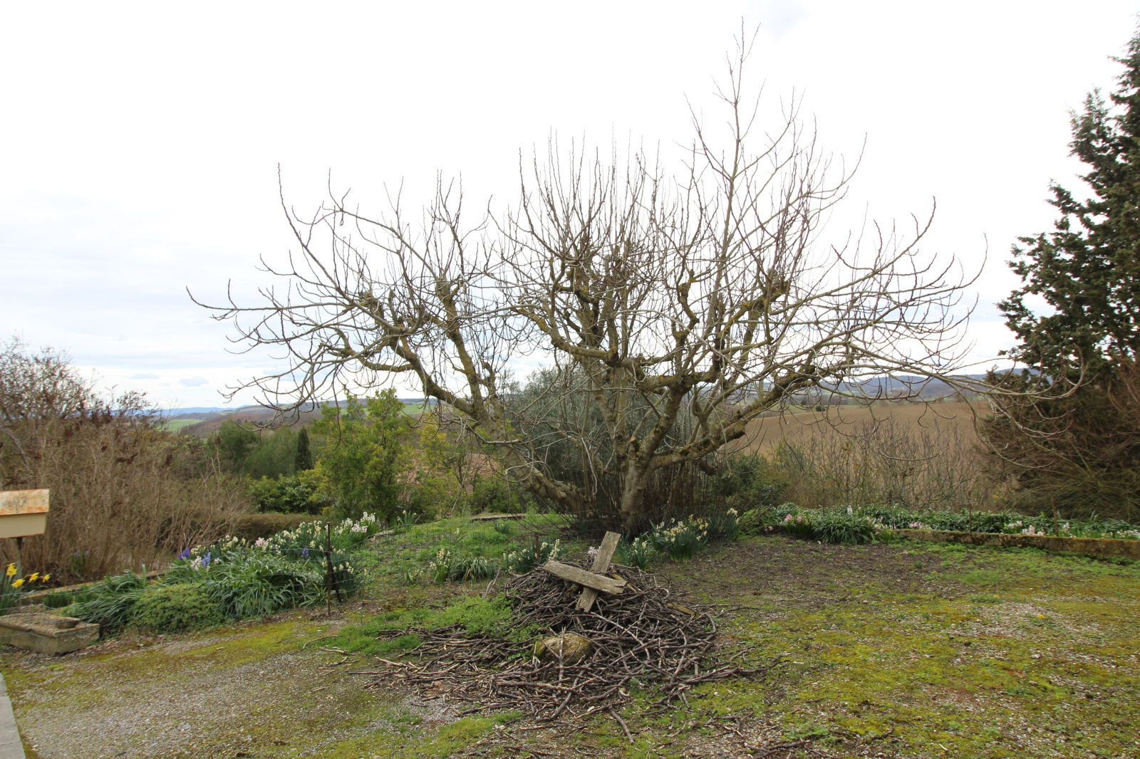 Image_5, Maison, Montgradail, ref :8923