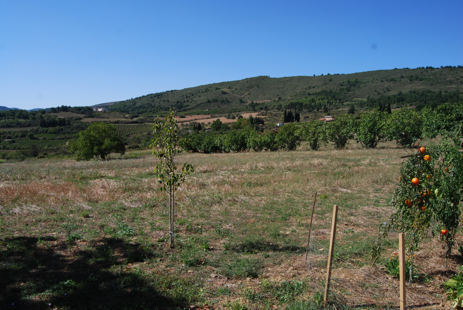 Image_20, Villa, Couiza, ref :9170