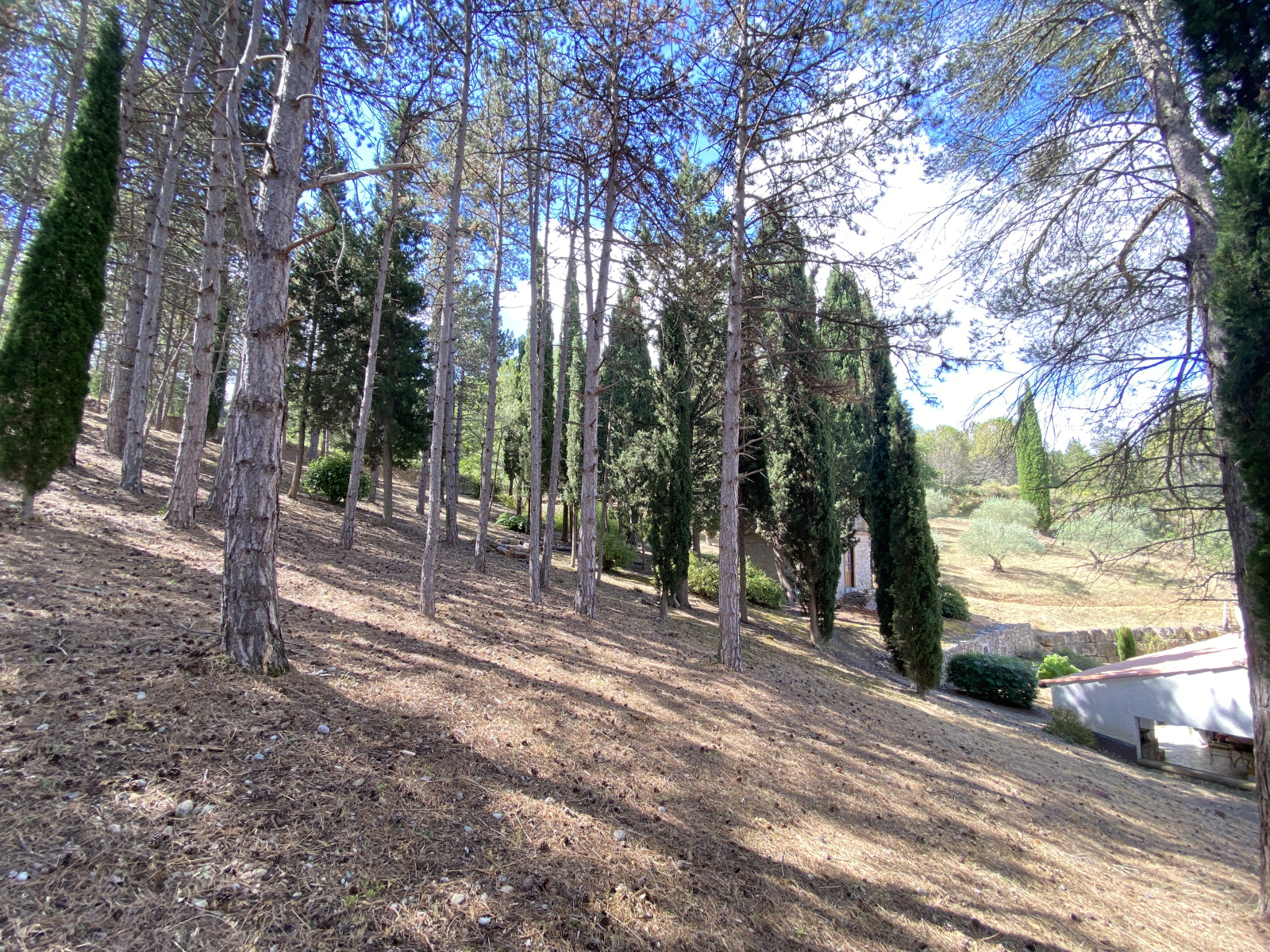 Image_23, Villa, Limoux, ref :9203