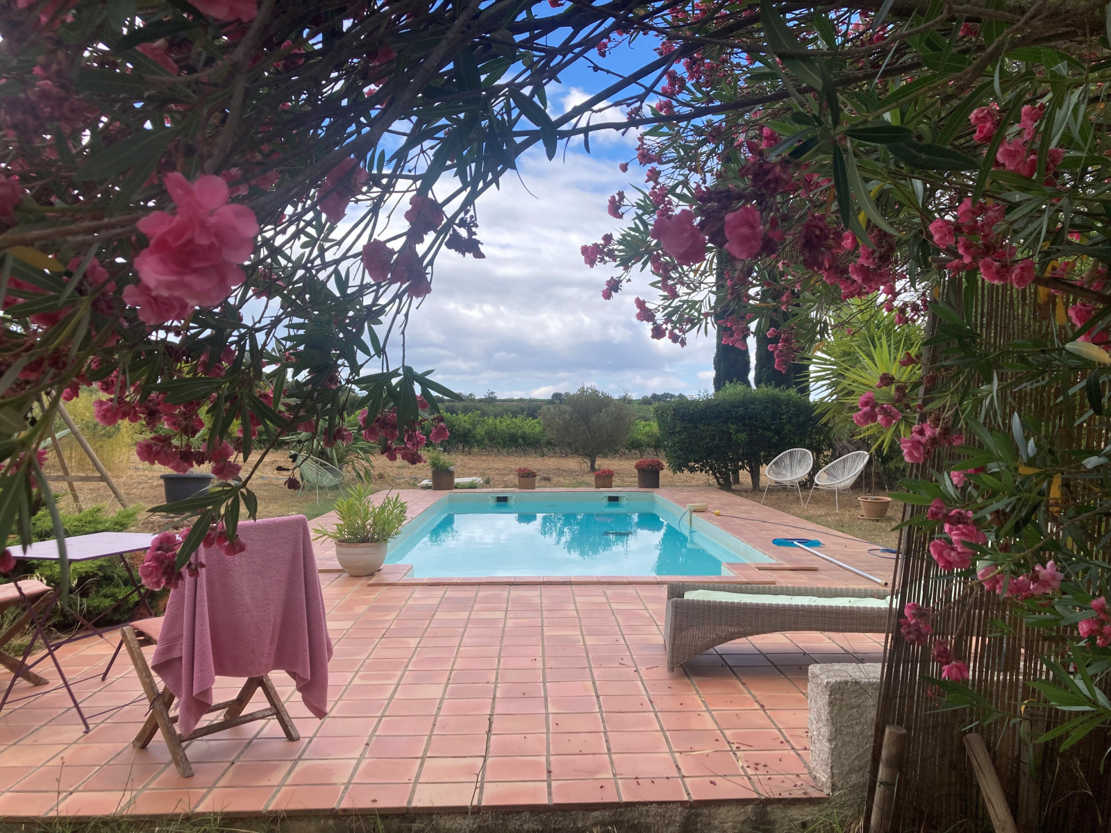 Image_2, Mas, Gruissan, ref :5821