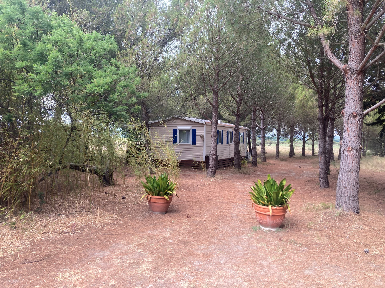 Image_34, Mas, Gruissan, ref :5821