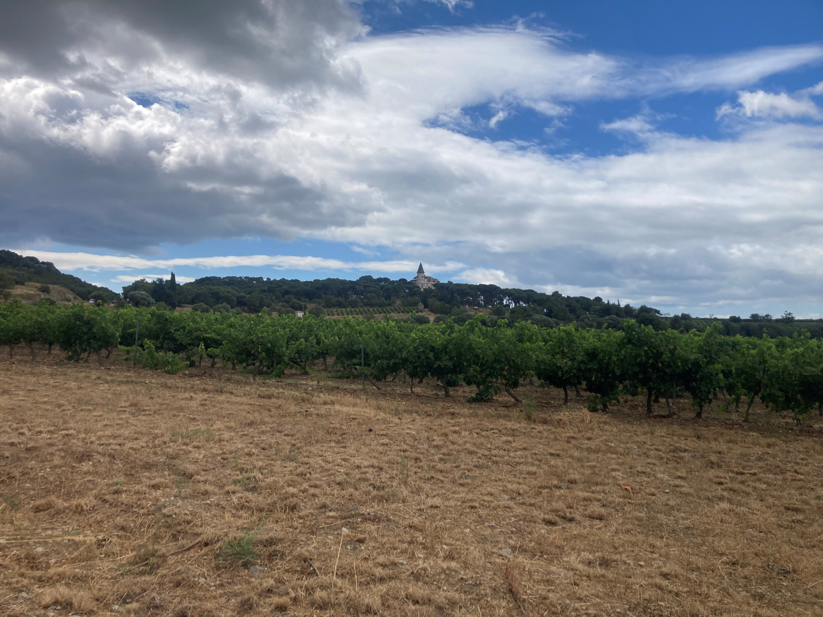 Image_21, Mas, Gruissan, ref :5821