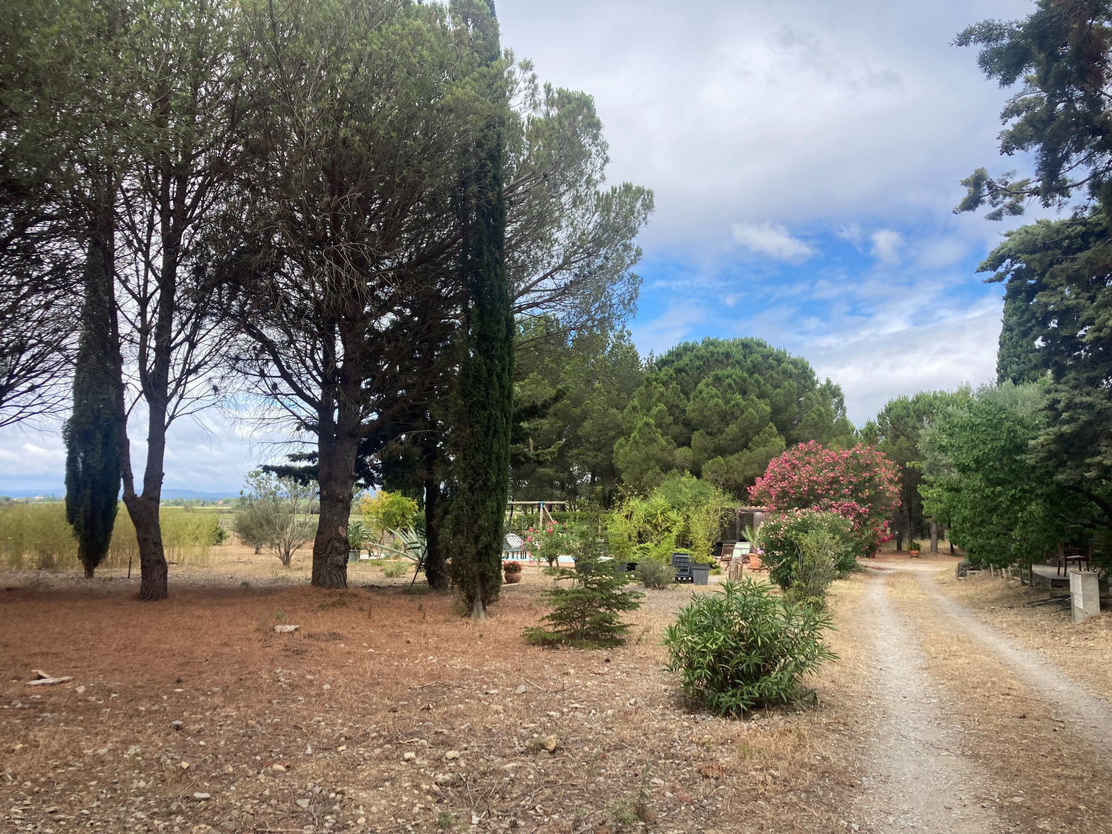 Image_18, Mas, Gruissan, ref :5821