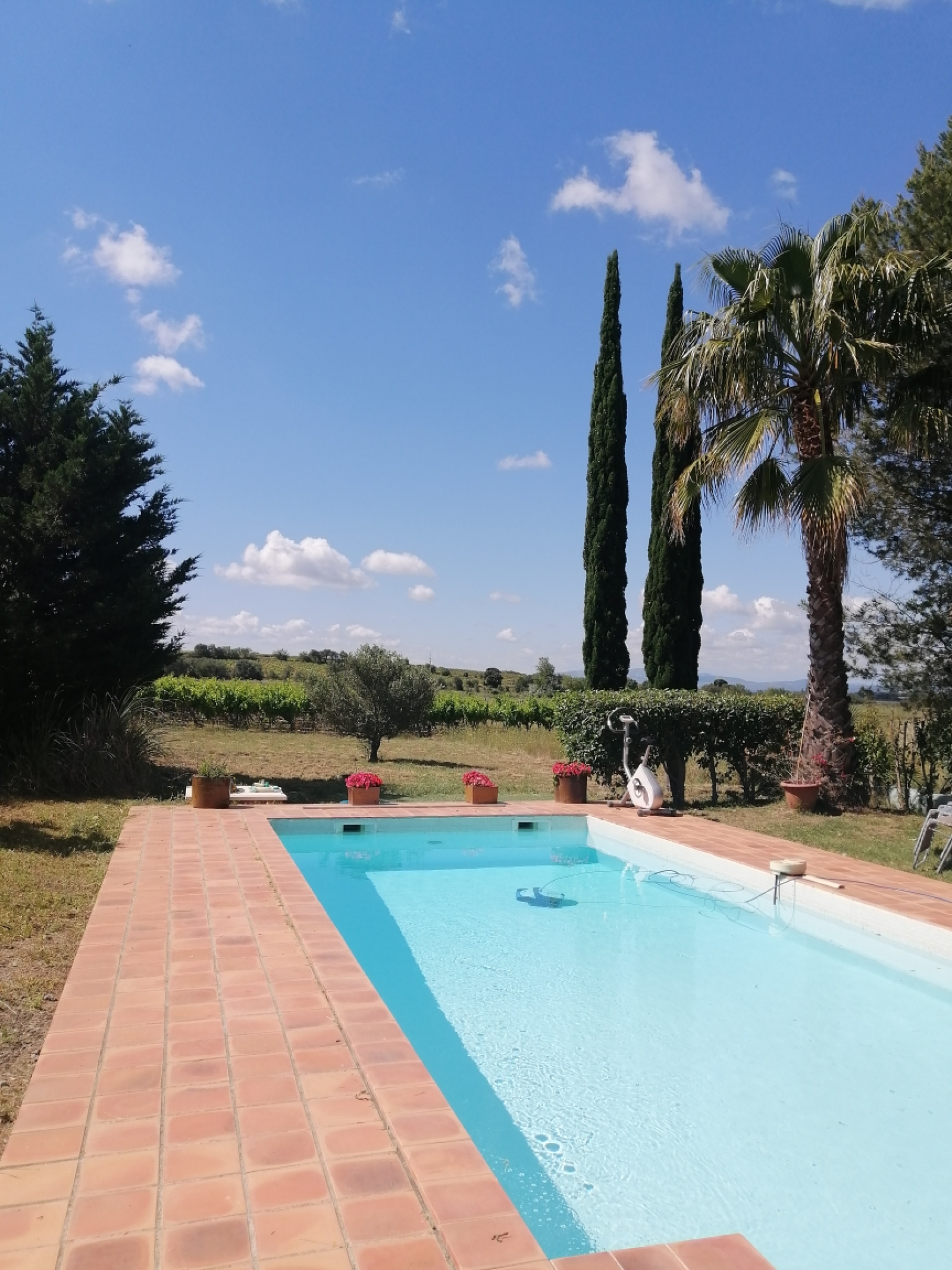 Image_1, Mas, Gruissan, ref :5821