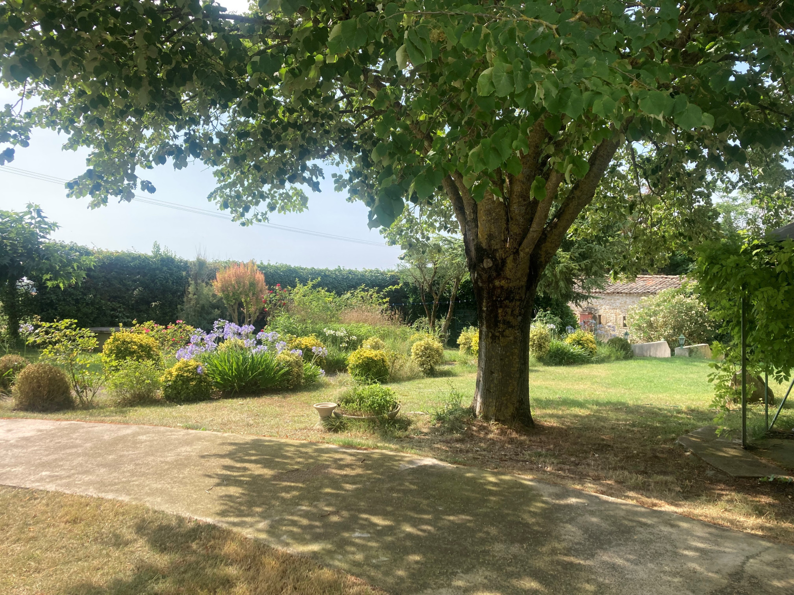 Image_15, Propriete, Mas-Saintes-Puelles, ref :5820