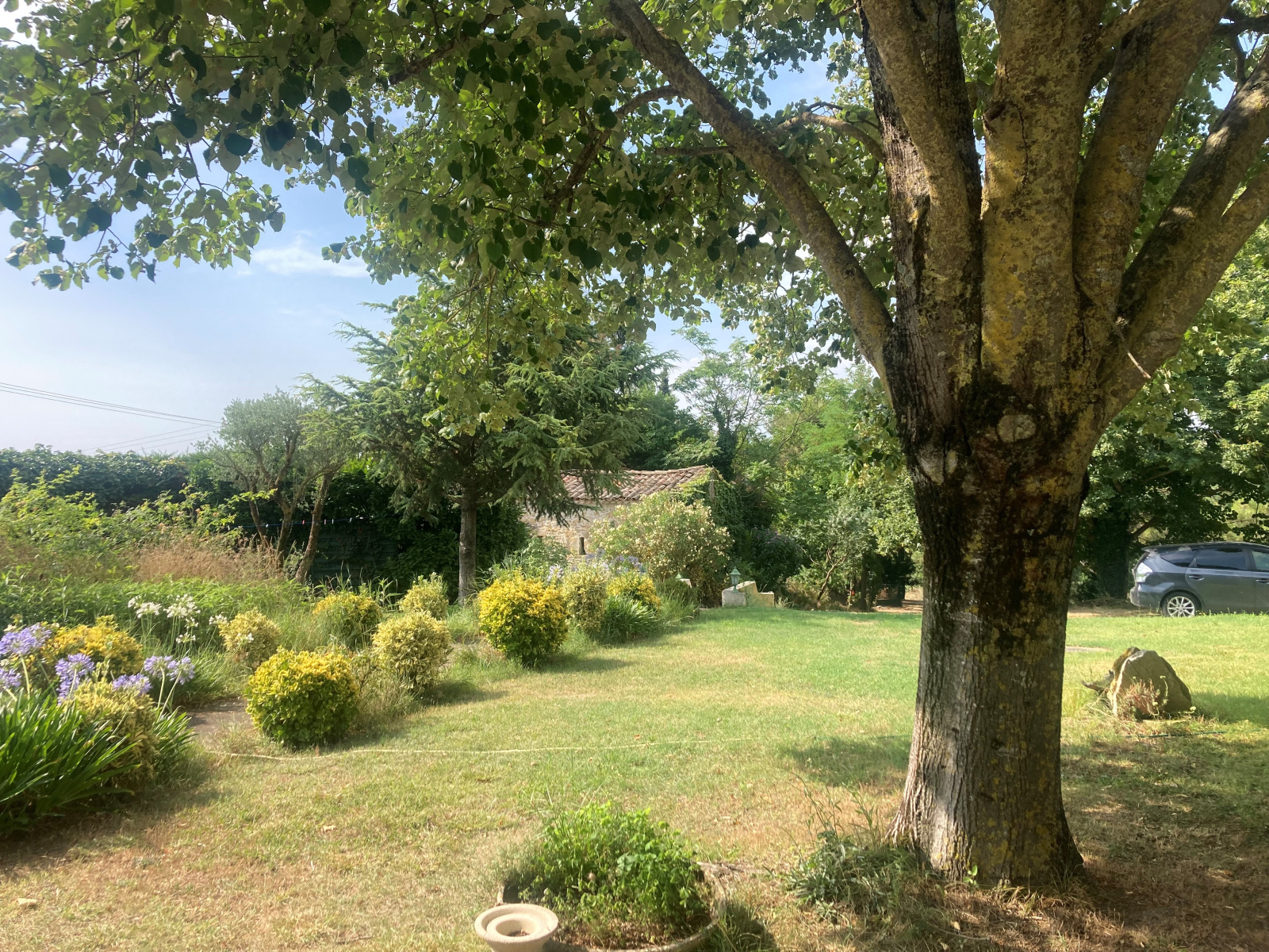 Image_19, Propriete, Mas-Saintes-Puelles, ref :5820