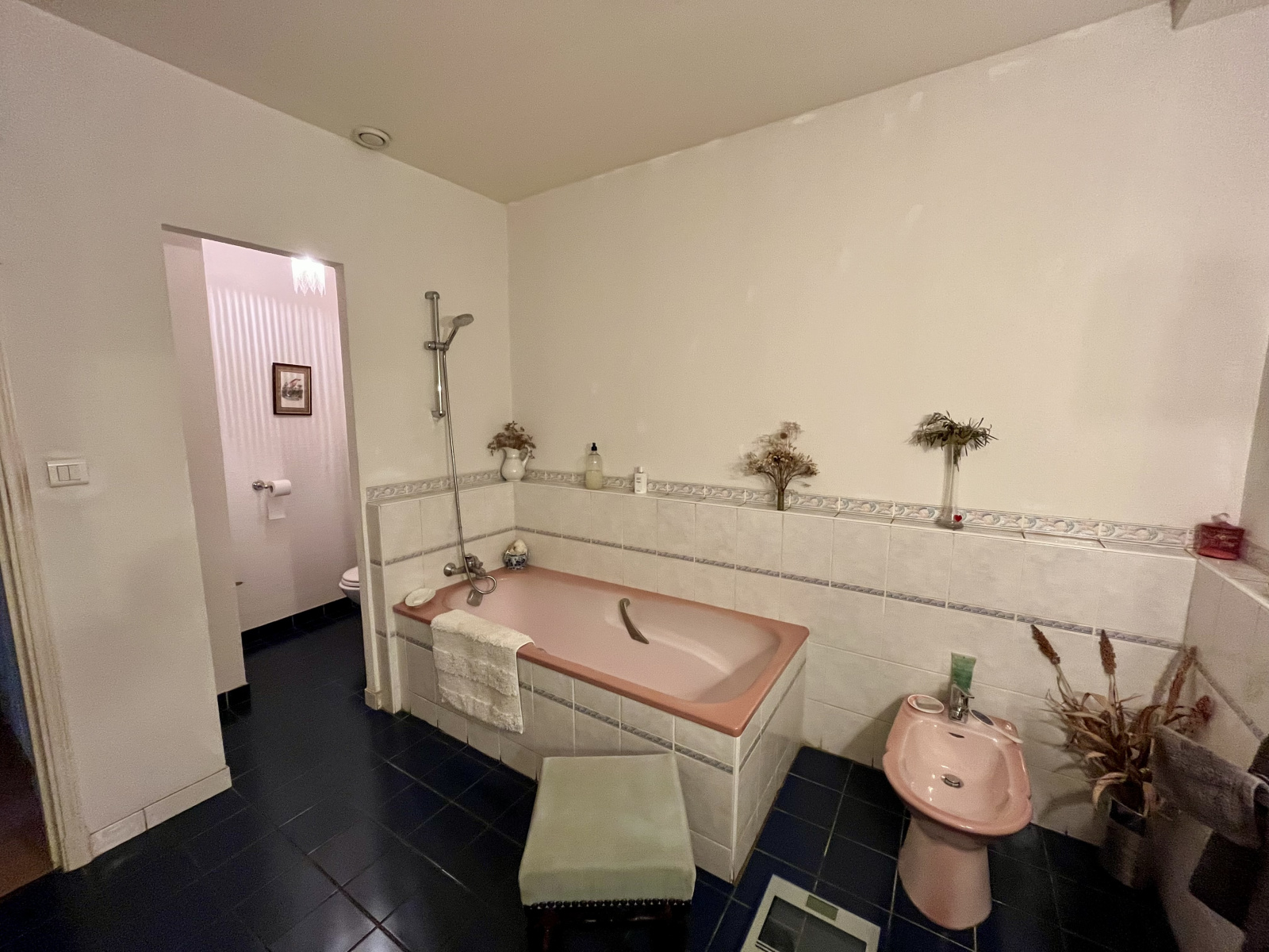 Image_11, viager maison, Floure, ref :5840