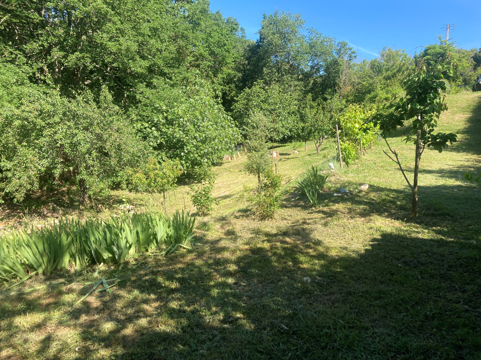 Image_24, Maison, Montclar, ref :5810