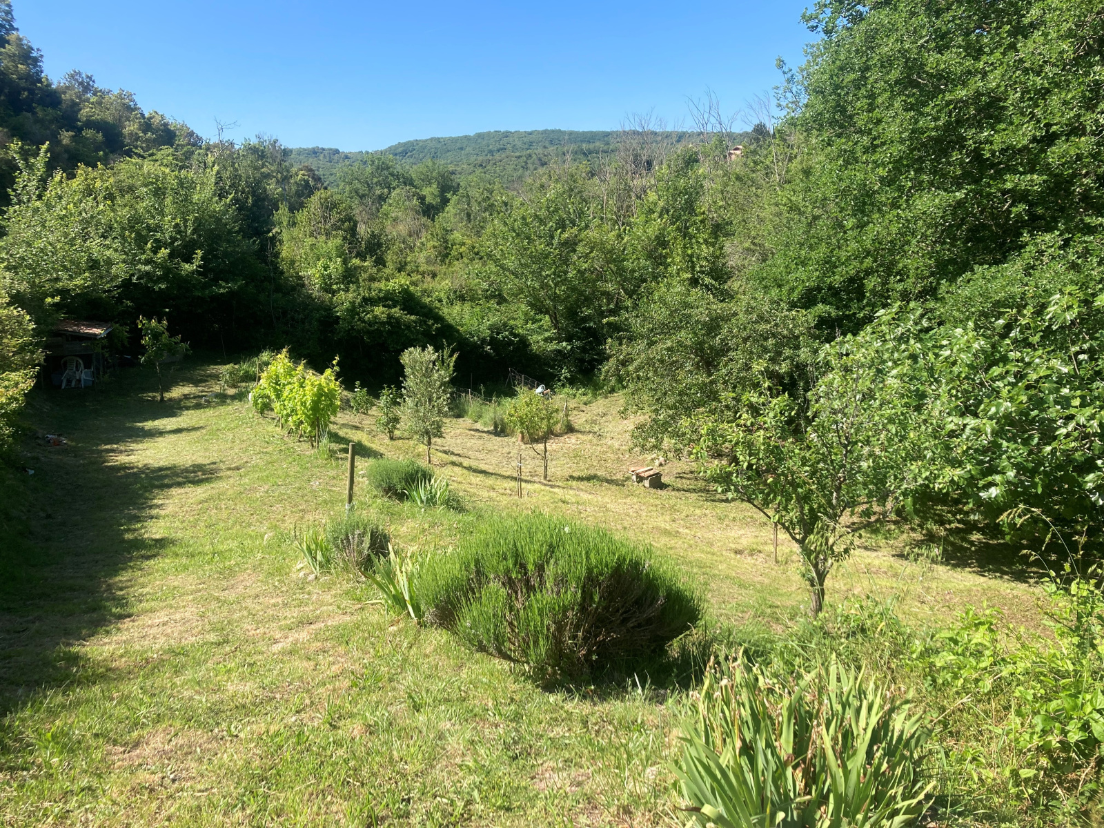 Image_14, Maison, Montclar, ref :5810