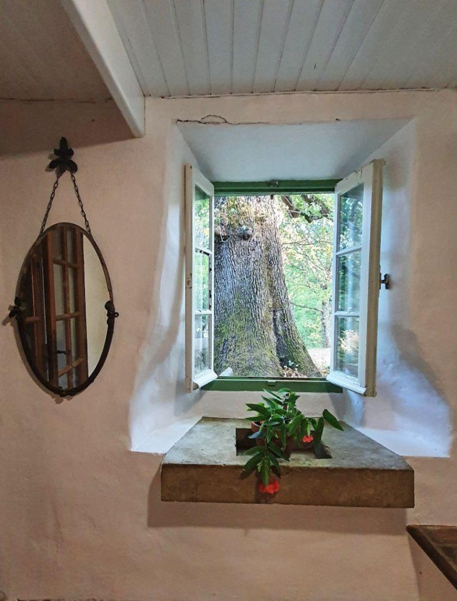 Image_11, Maison, Limoux, ref :9227