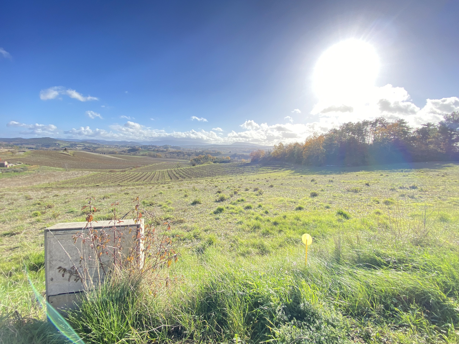 Image_1, Terrain, Limoux, ref :9034