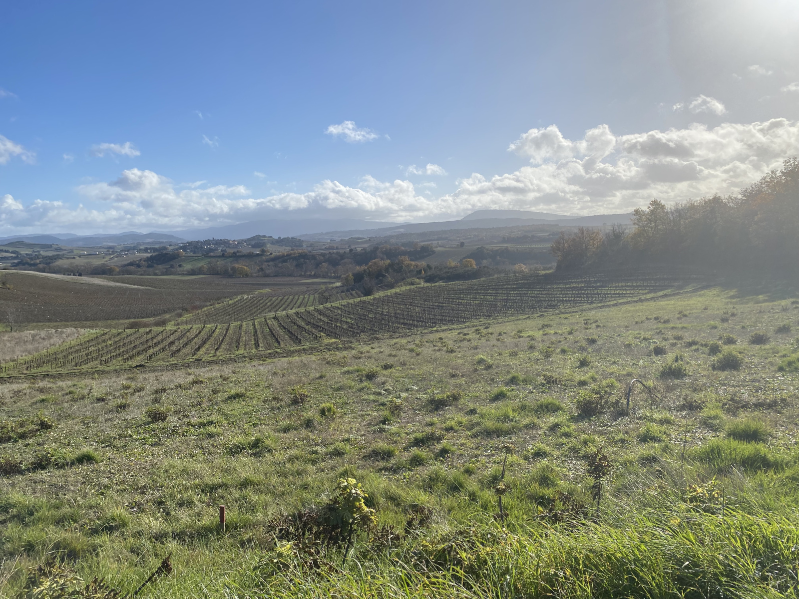 Image_3, Terrain, Limoux, ref :9034