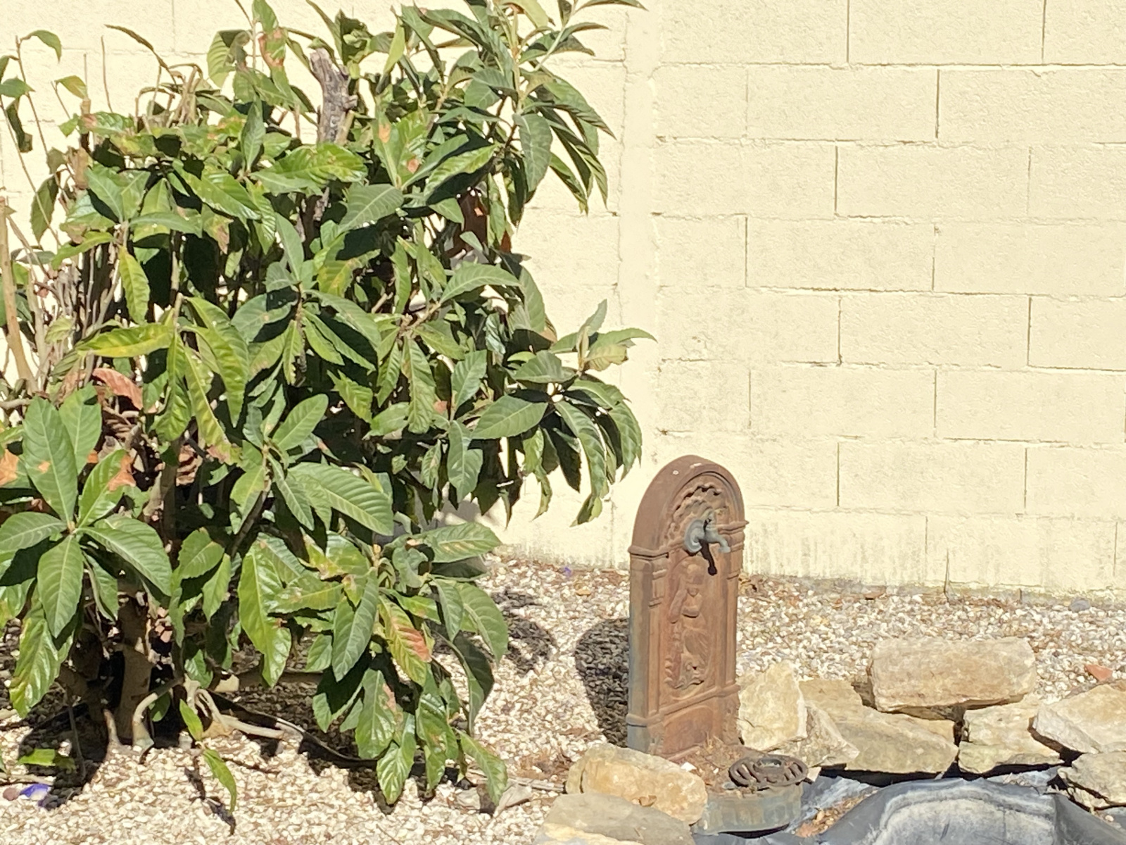 Image_20, Maison, Saint-Martin-de-Villereglan, ref :9221