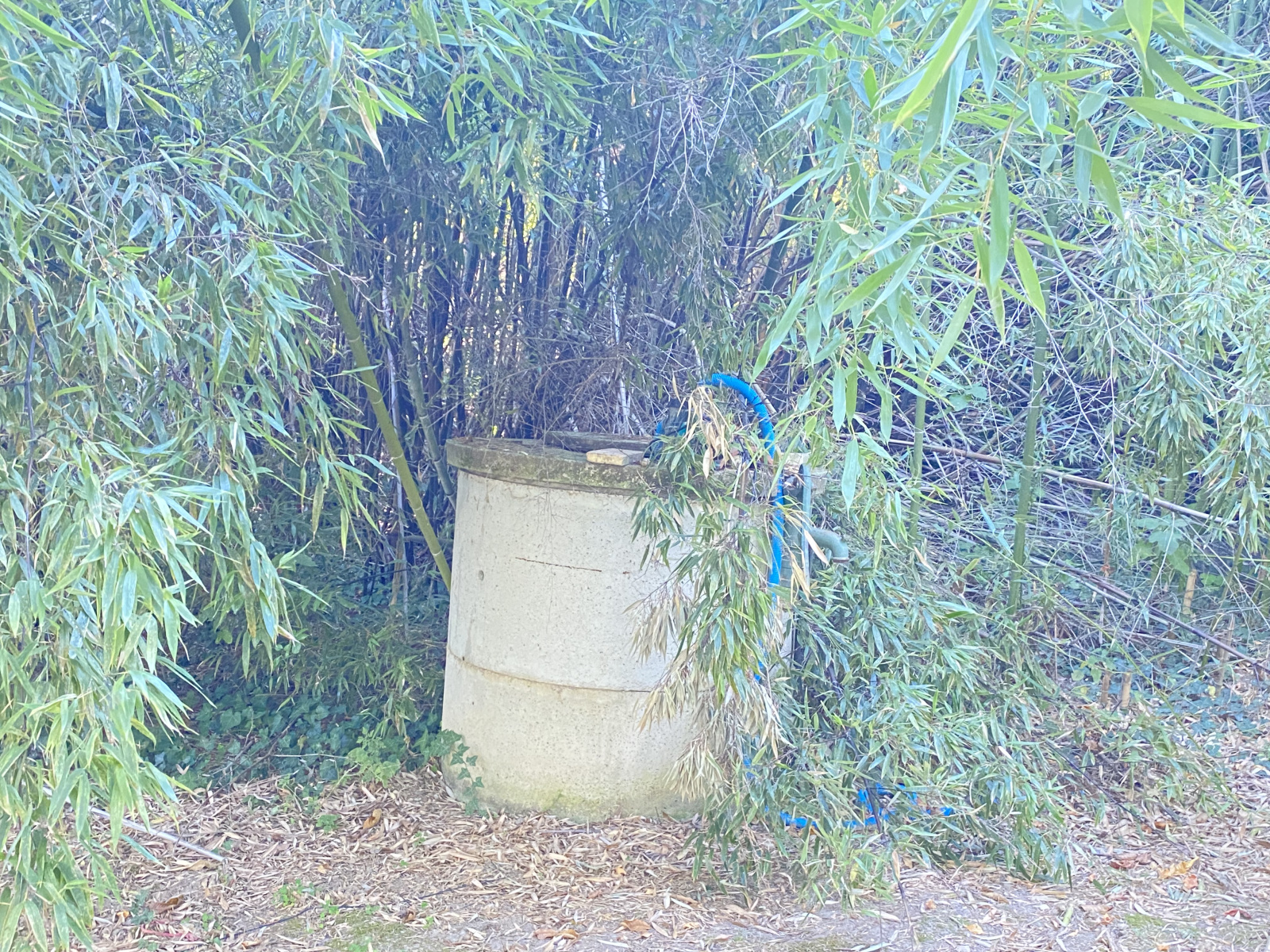 Image_25, Maison, Saint-Martin-de-Villereglan, ref :9221