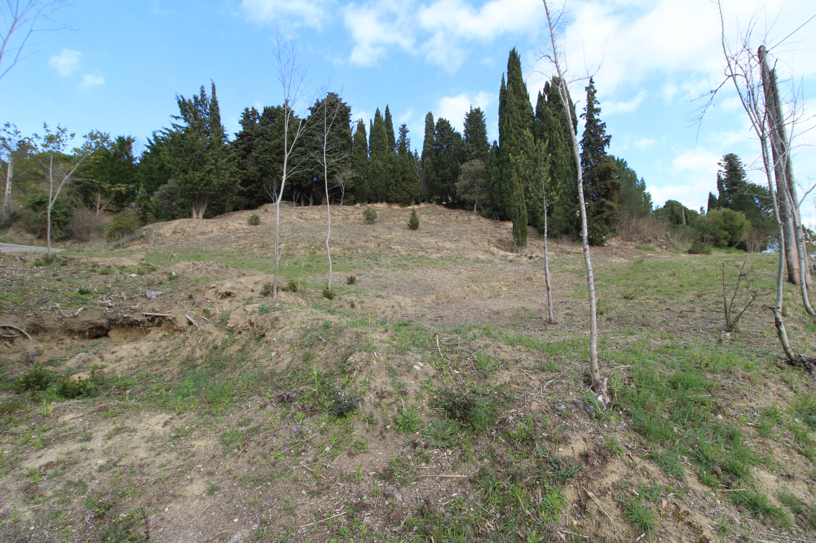 Image_1, Terrain, Limoux, ref :8663