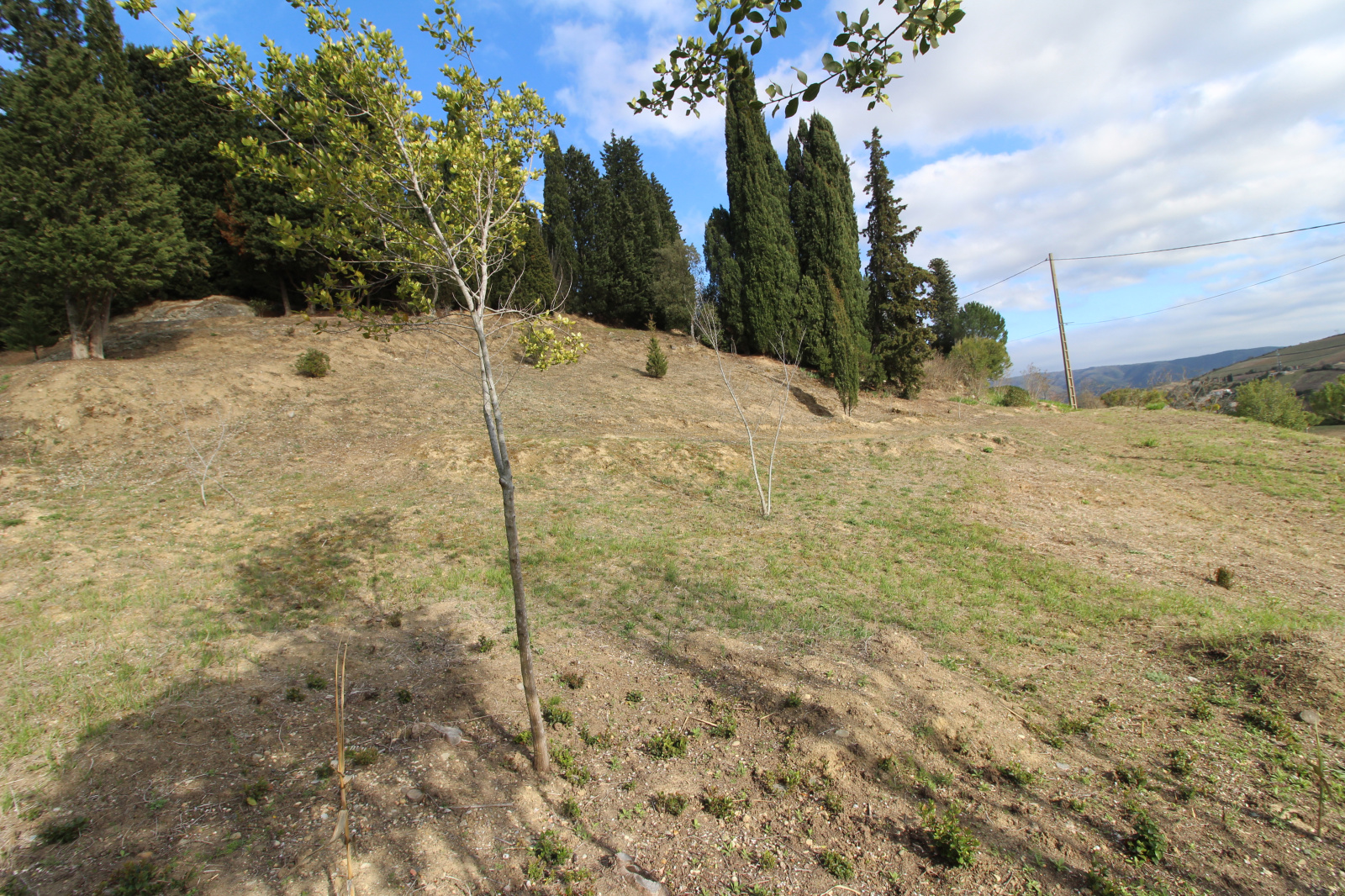 Image_3, Terrain, Limoux, ref :8663