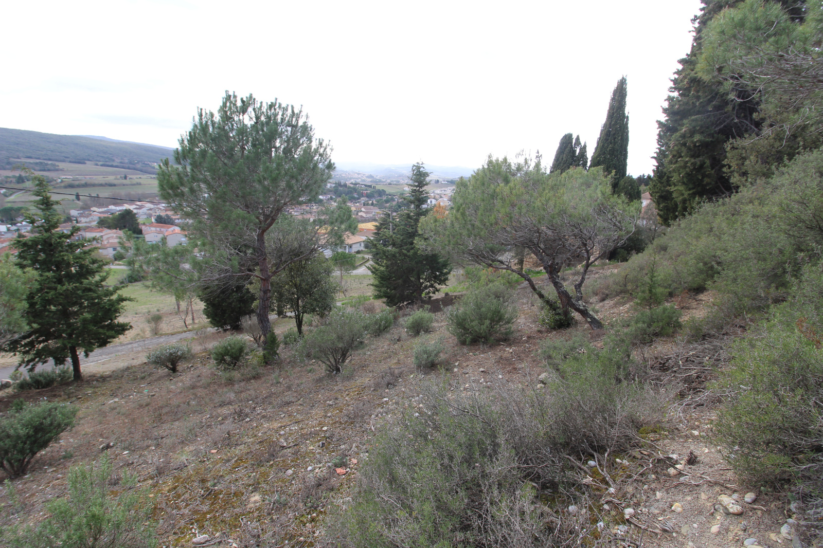 Image_4, Terrain, Limoux, ref :8663