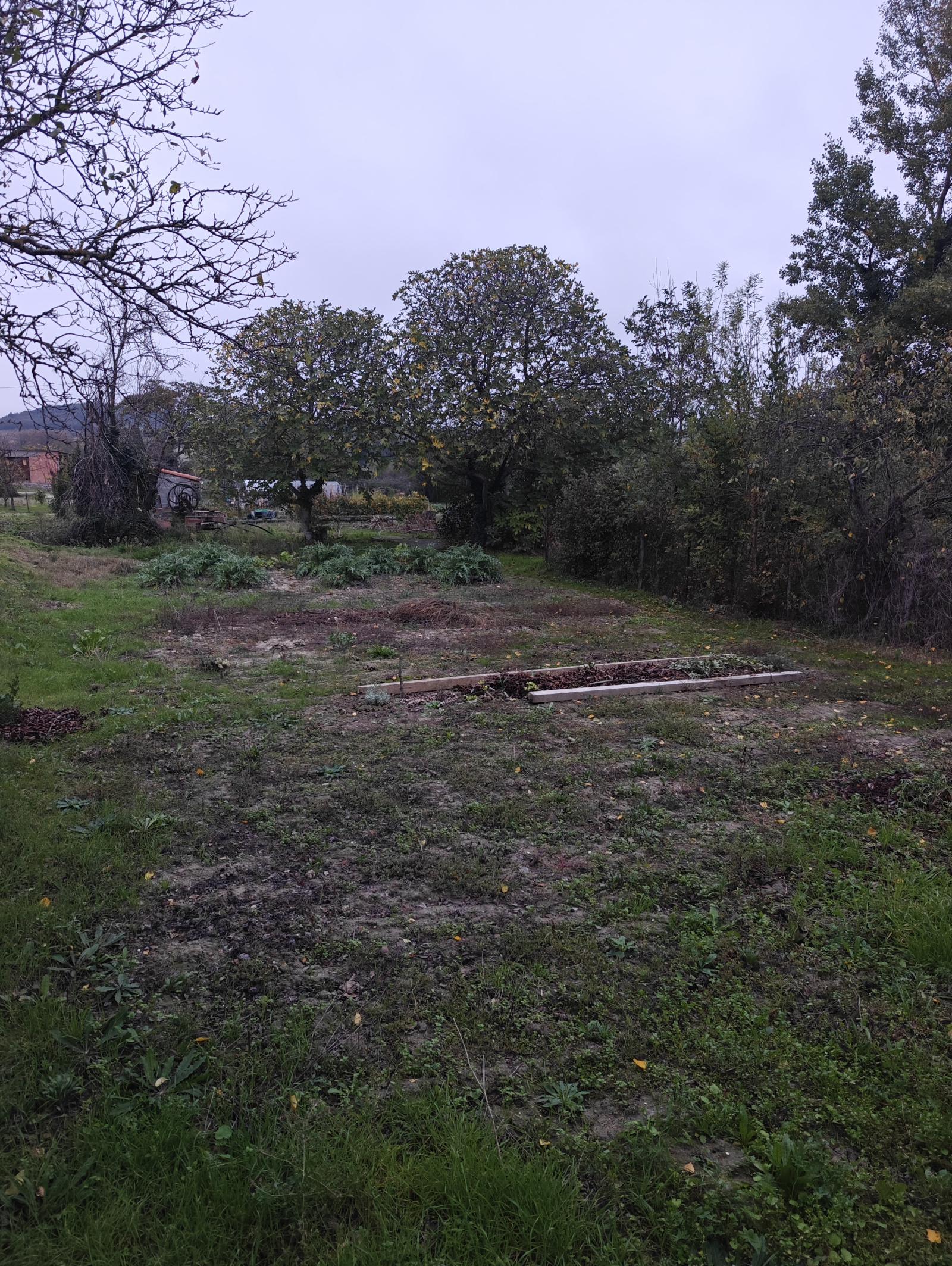 Image_12, Maison, Malviès, ref :9027