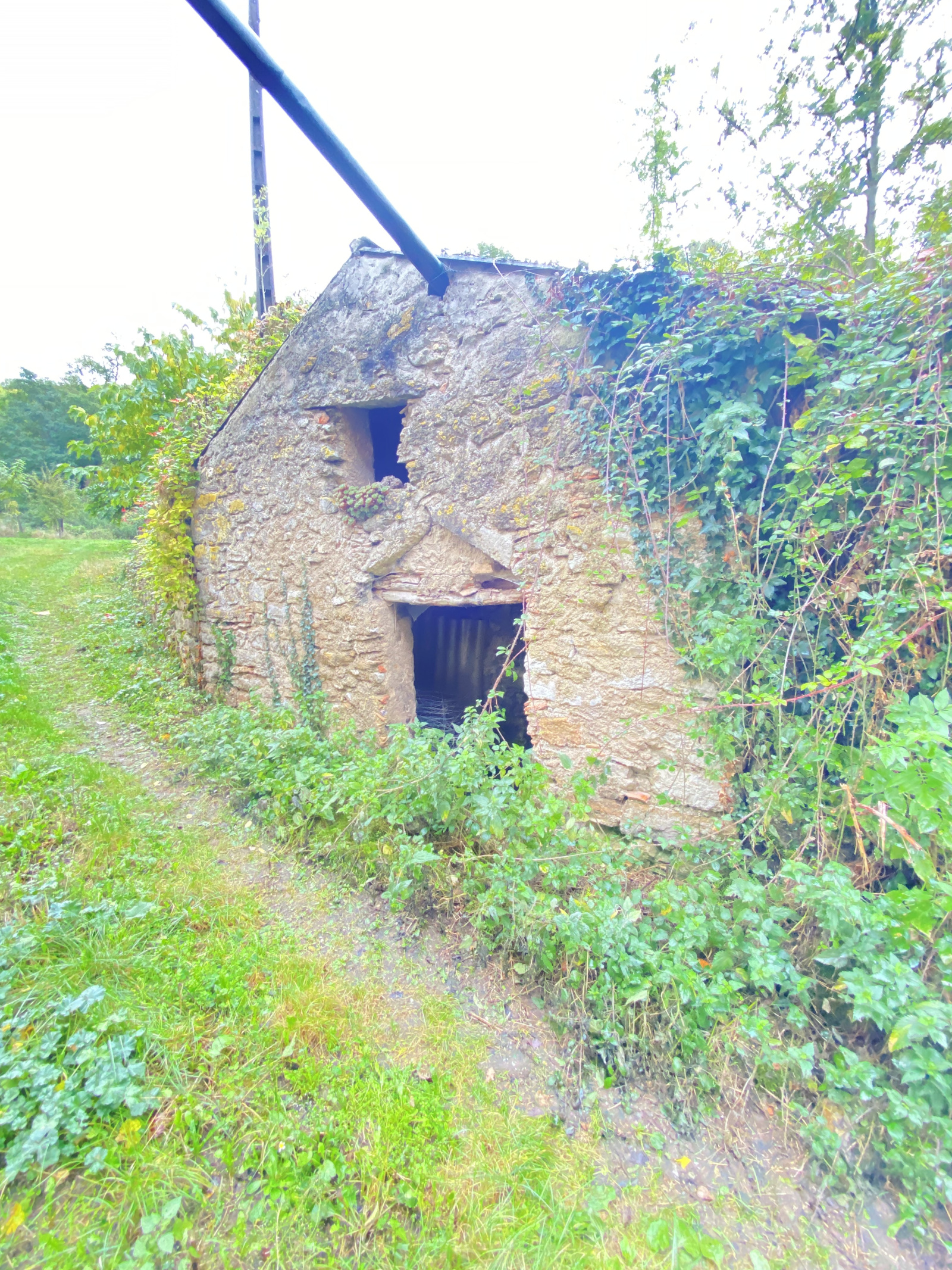 Image_8, Ferme, Saint-Polycarpe, ref :8809