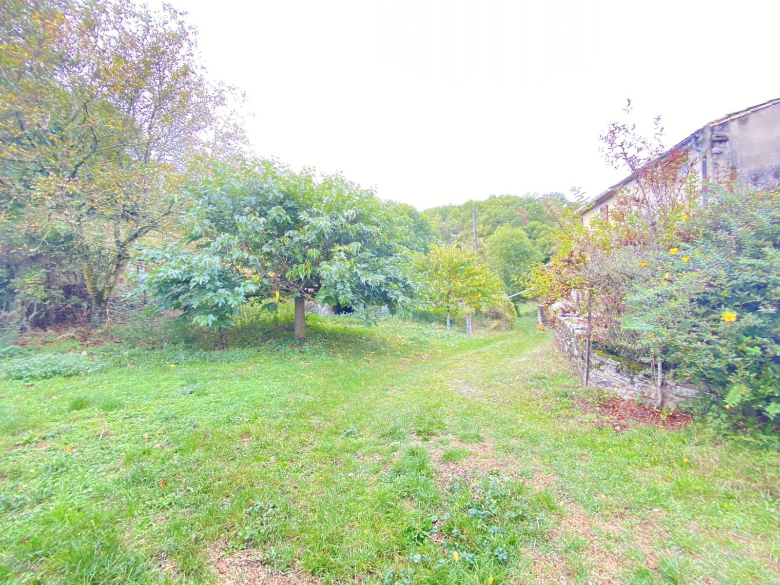 Image_6, Ferme, Saint-Polycarpe, ref :8809