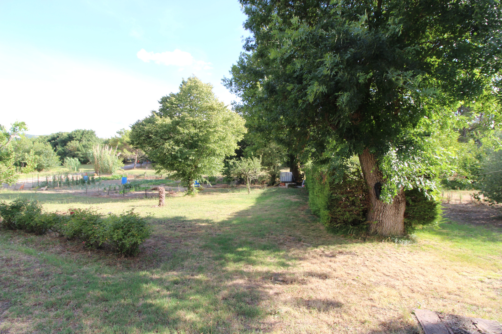 Image_22, Viager, Limoux, ref :9202