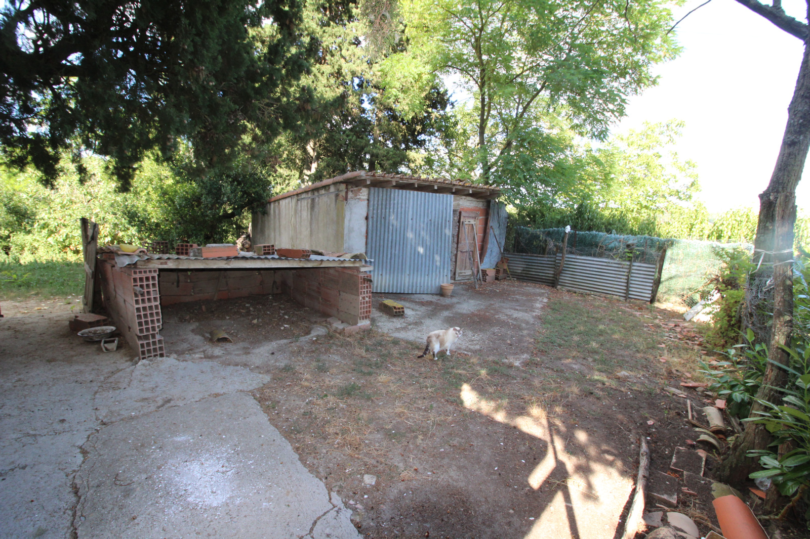 Image_18, Viager, Limoux, ref :9202