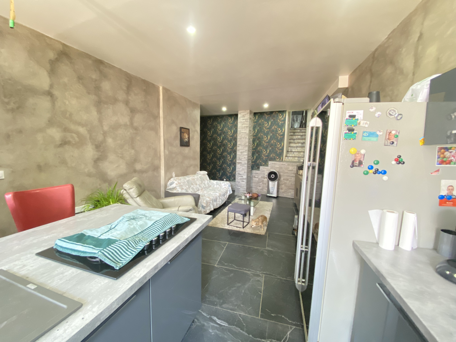 Image_6, Maison, Belvèze-du-Razès, ref :9229