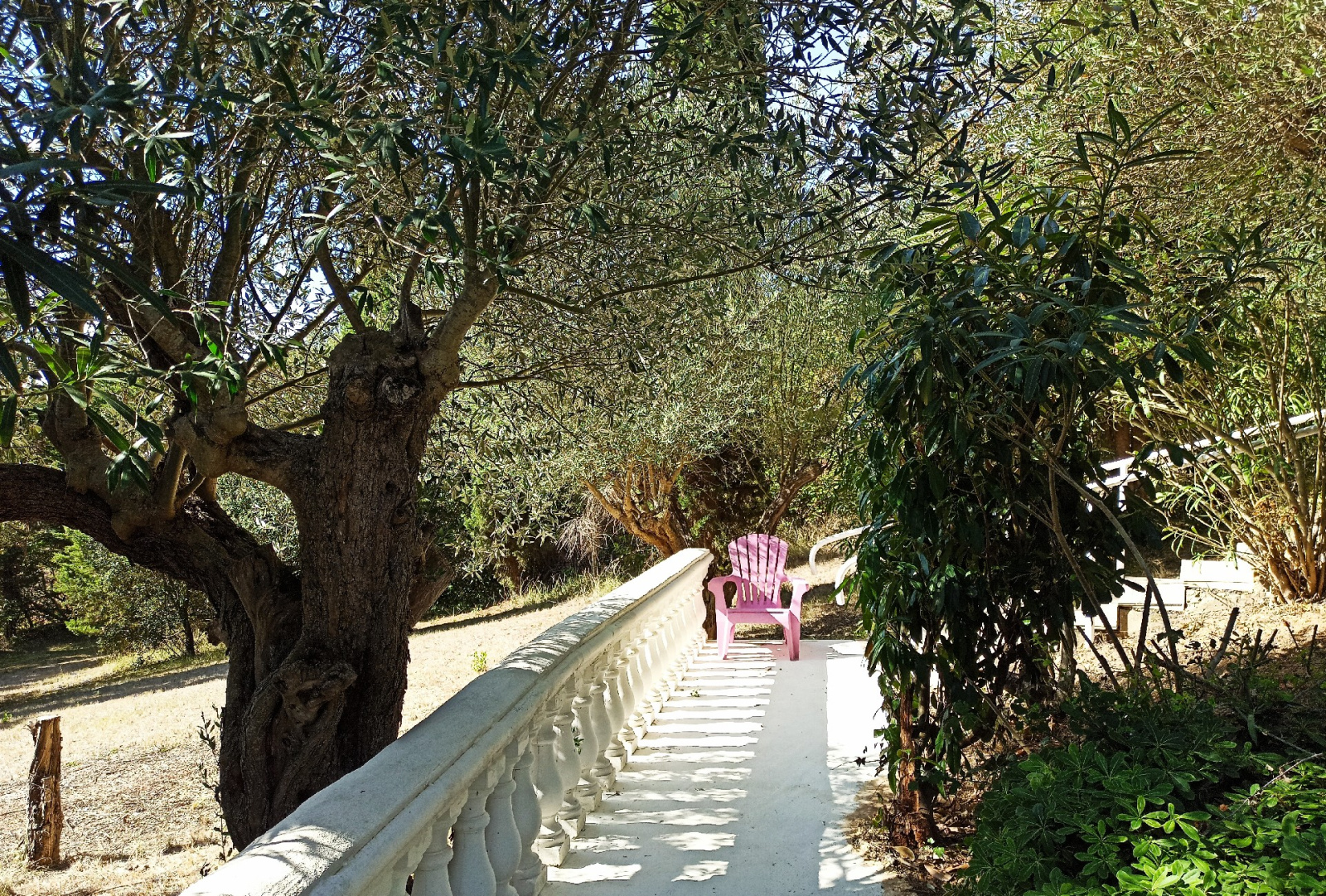 Image_14, Propriete, Preixan, ref :9185