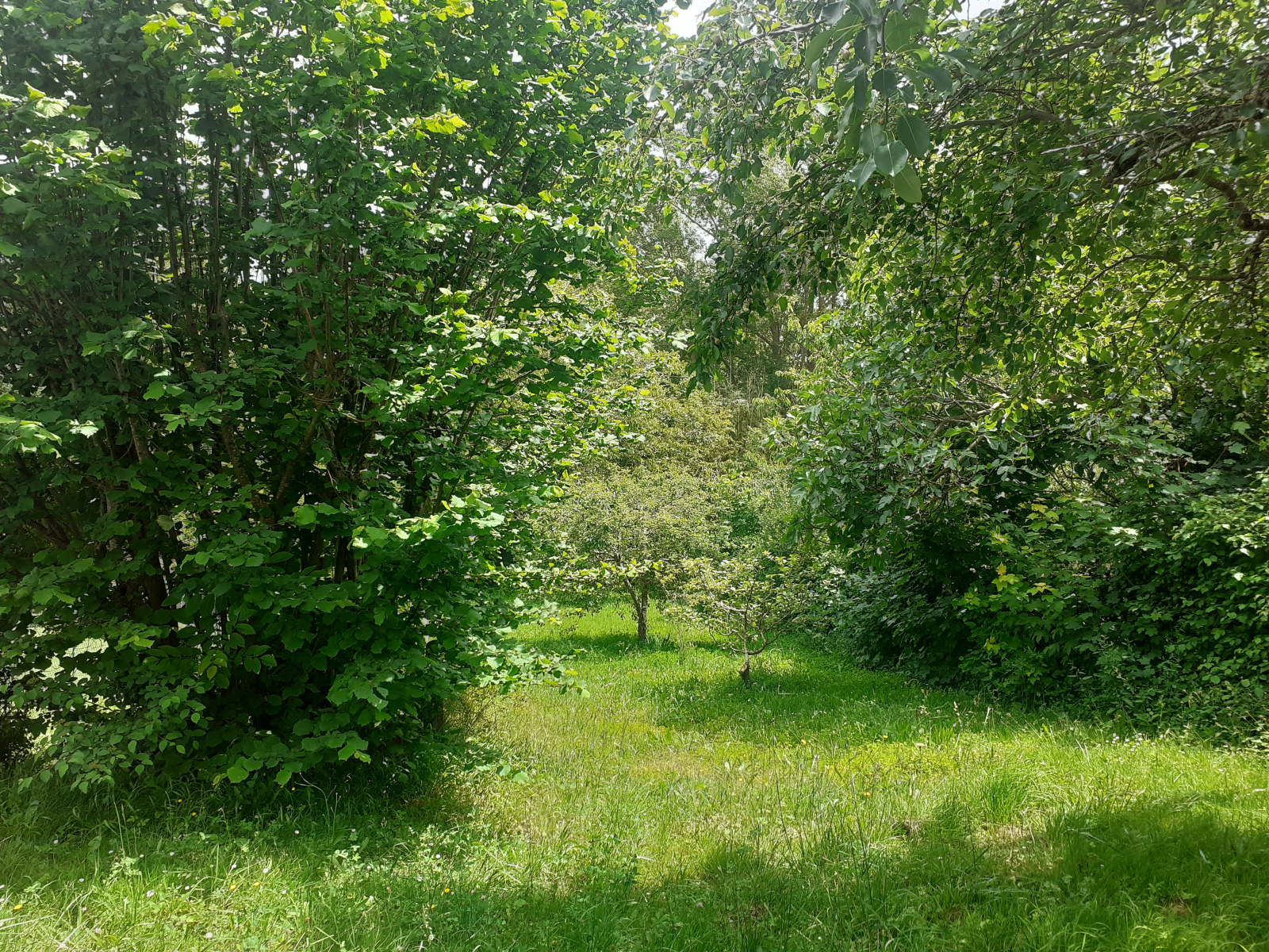 Image_24, Maison, Montazels, ref :9153