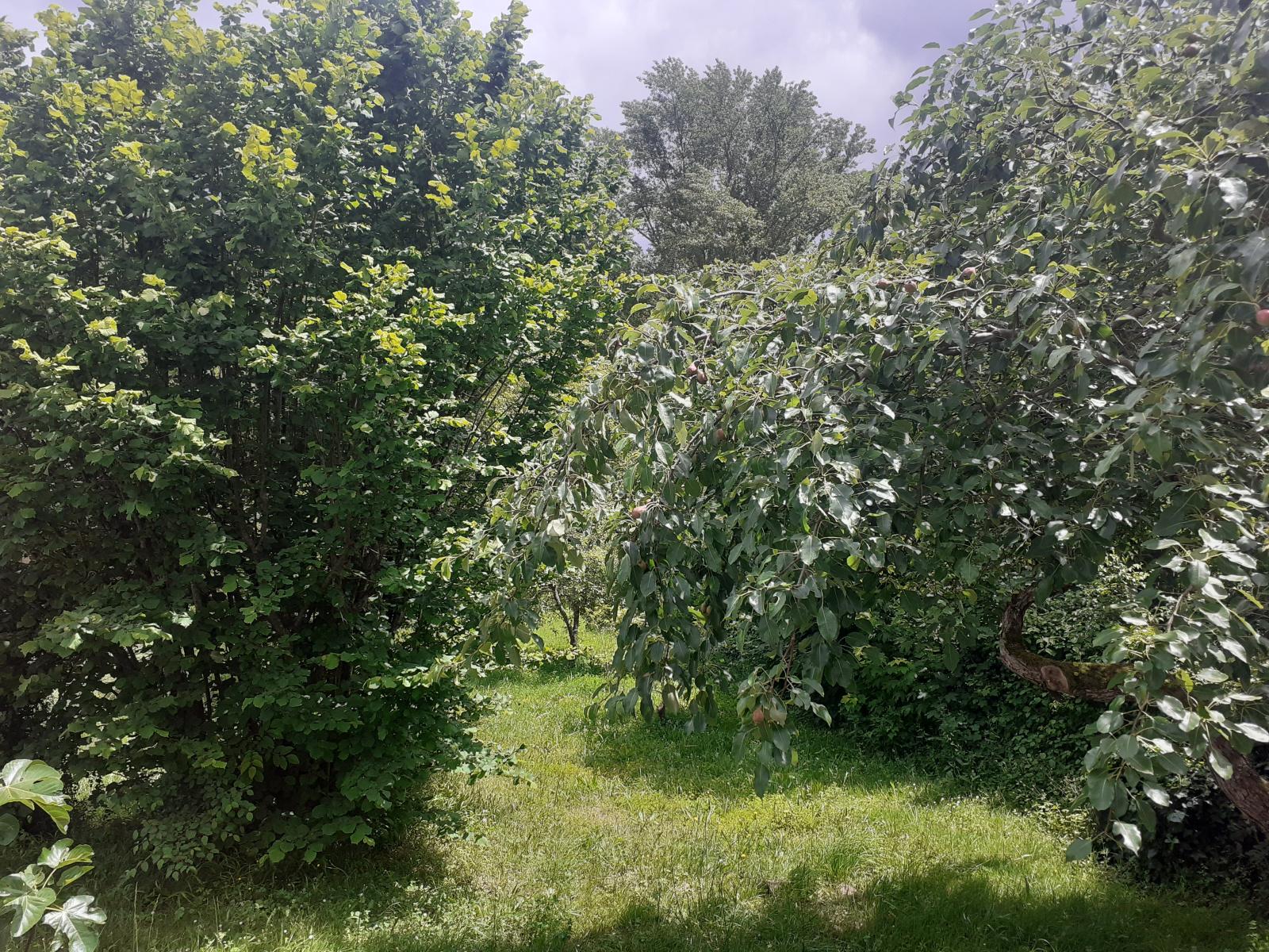 Image_22, Maison, Montazels, ref :9153