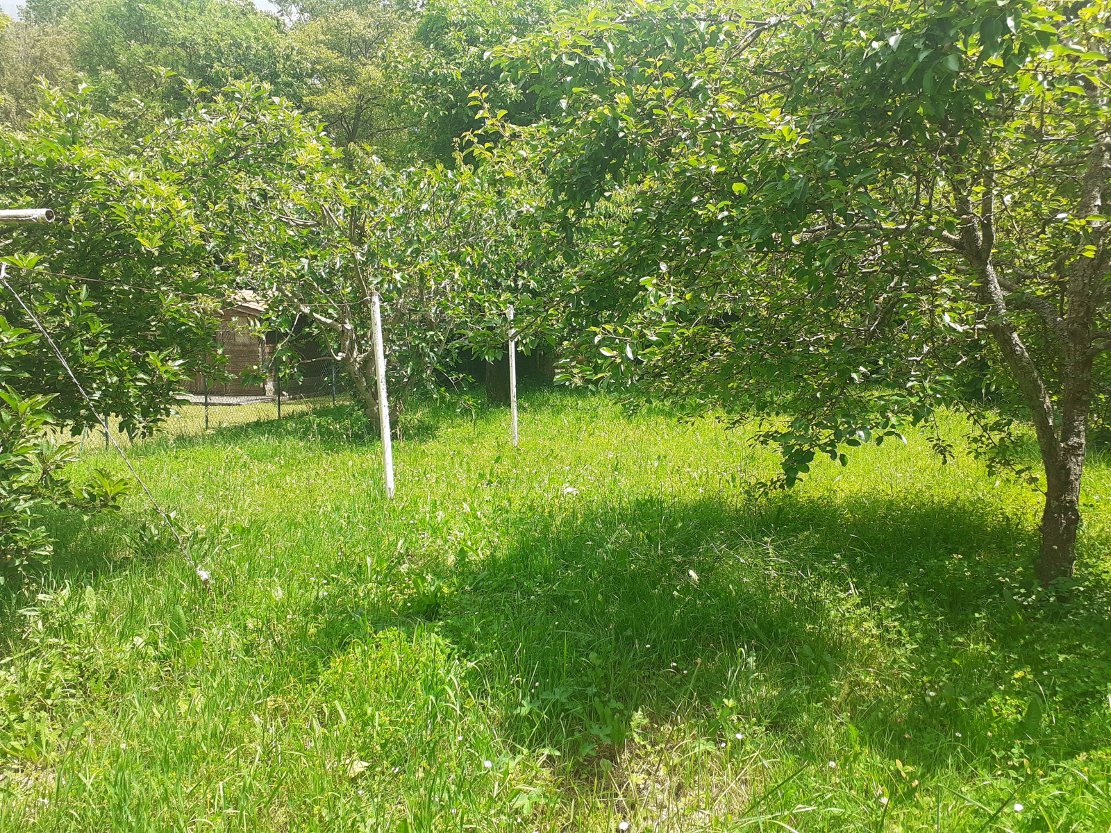 Image_2, Maison, Montazels, ref :9153