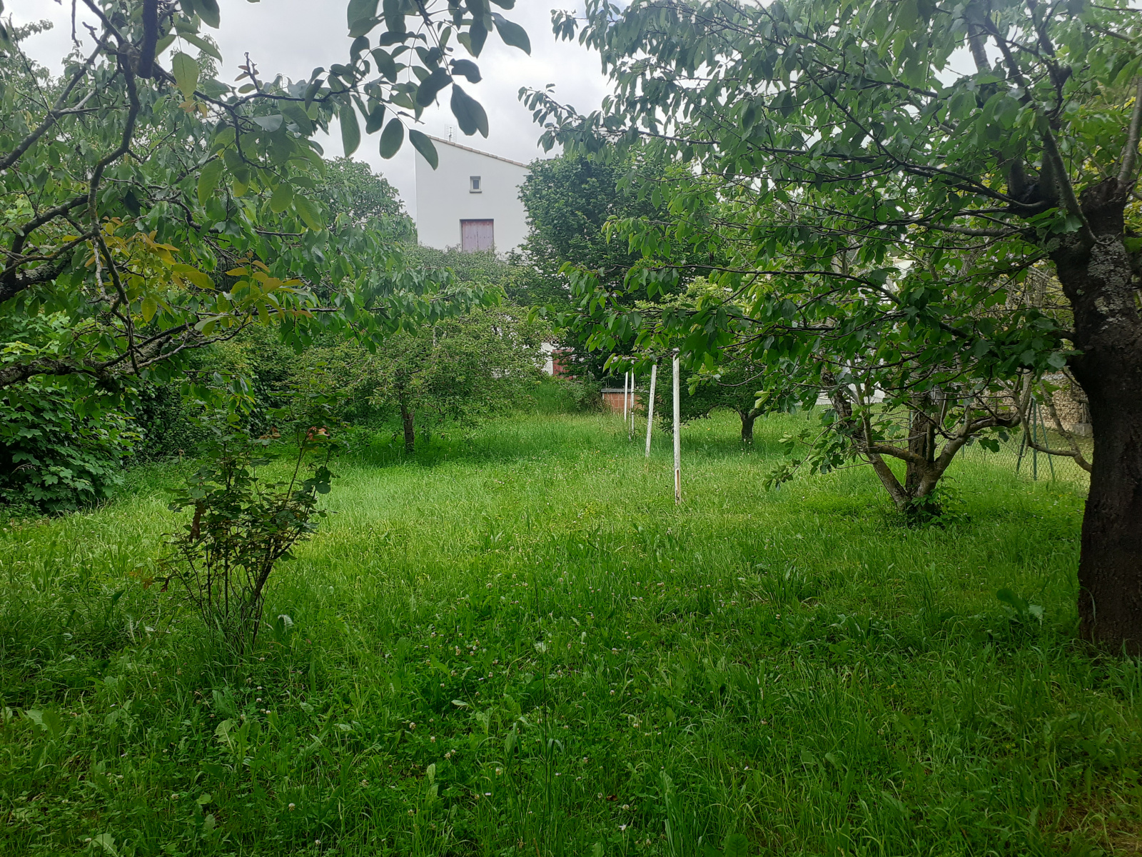 Image_27, Maison, Montazels, ref :9153