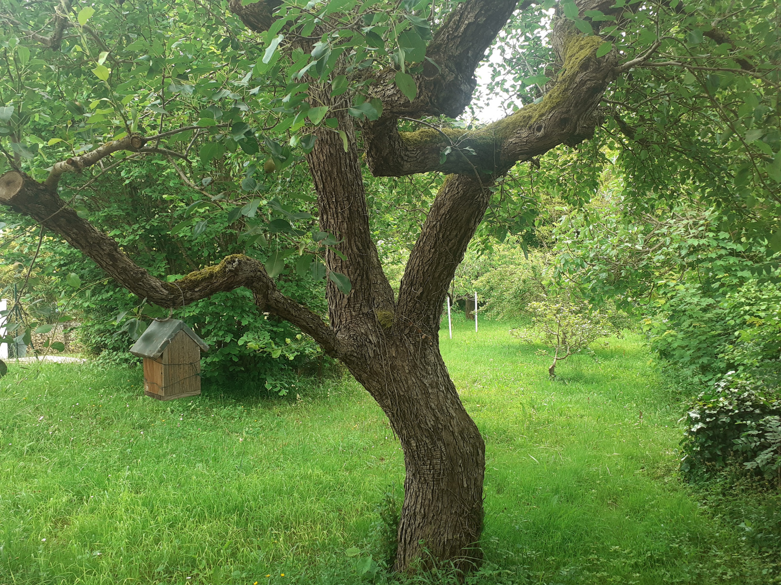 Image_28, Maison, Montazels, ref :9153