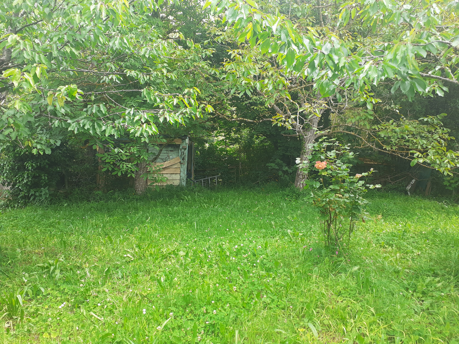 Image_26, Maison, Montazels, ref :9153