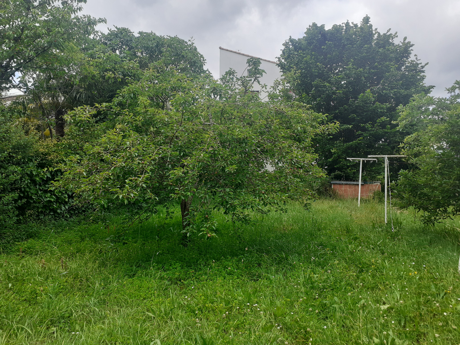 Image_25, Maison, Montazels, ref :9153