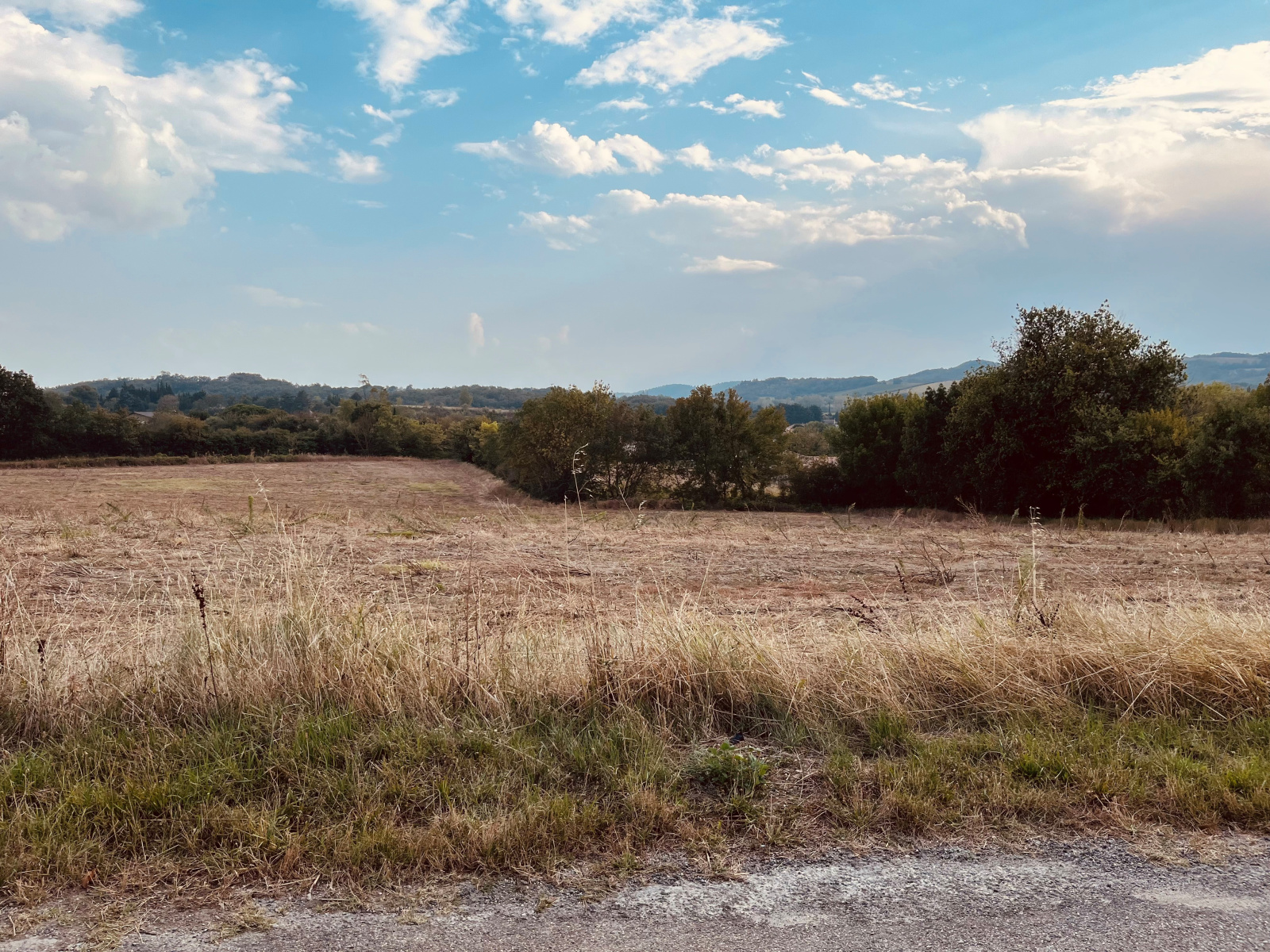 Image_2, Terrain, Limoux, ref :8989