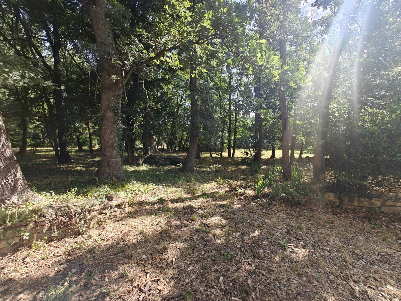 Image_31, Maison, Limoux, ref :9157