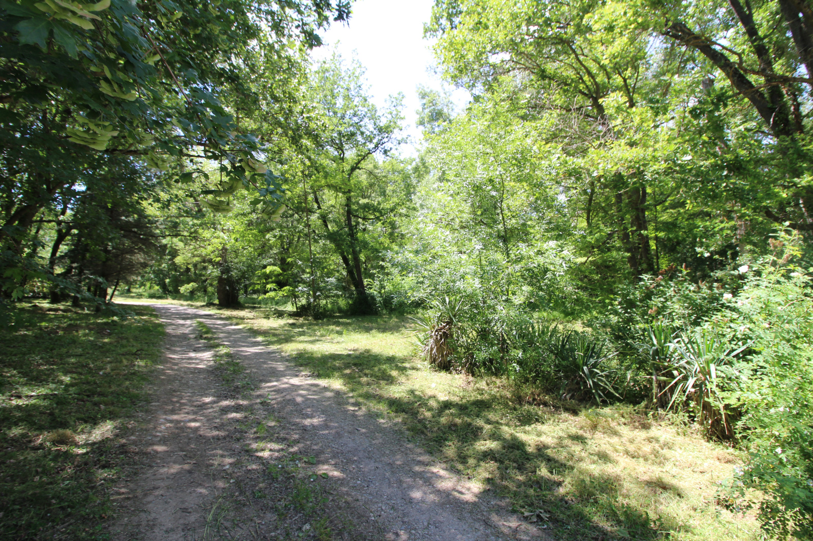 Image_30, Maison, Limoux, ref :9157