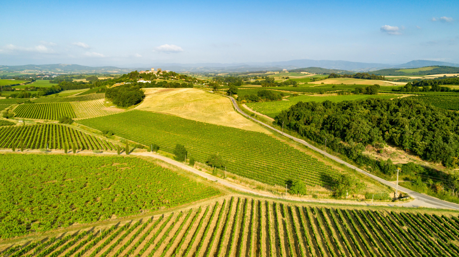 Image_1, Terrain agricole, Belvèze-du-Razès, ref :9243-C
