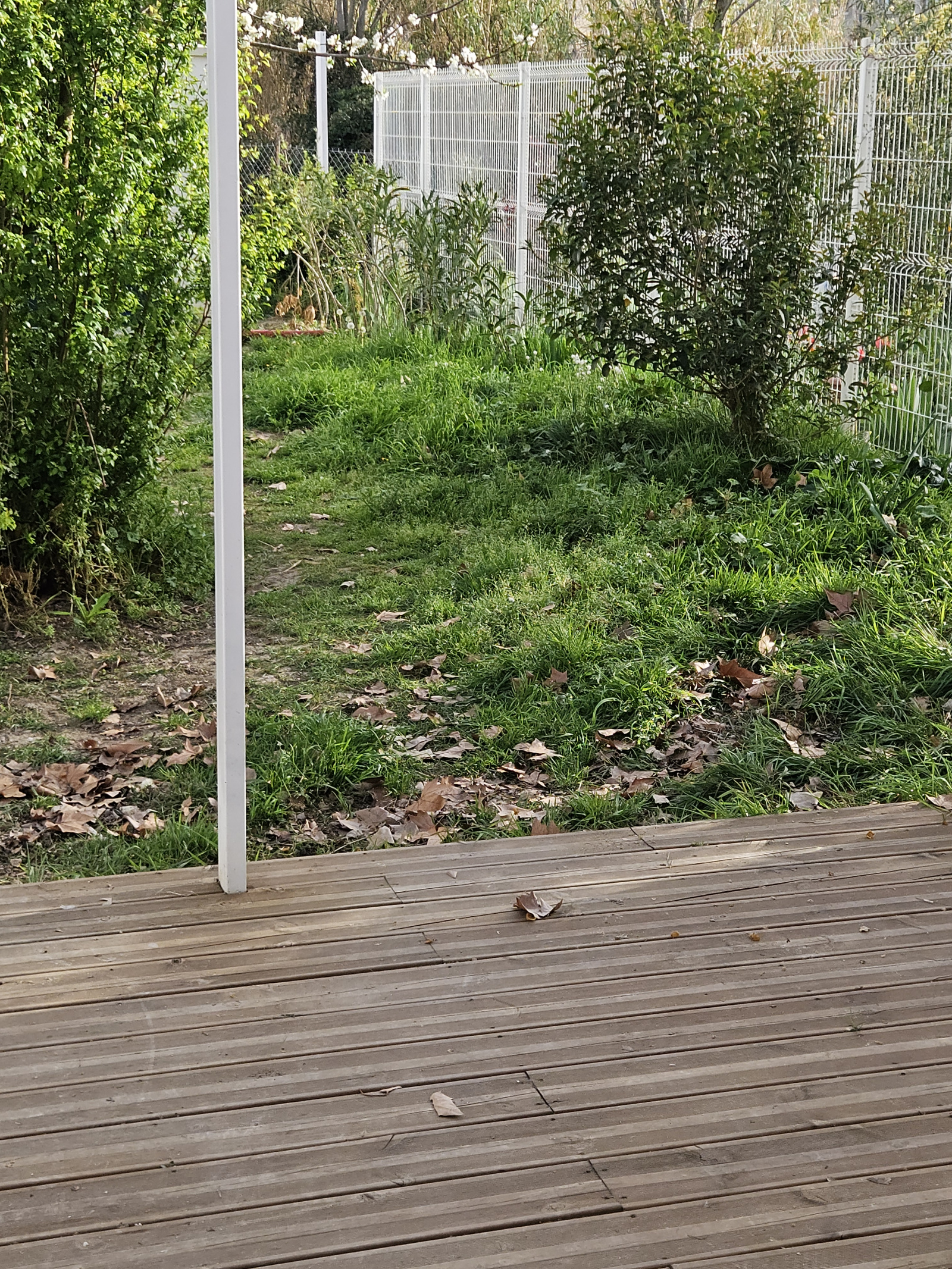 Image_2, Appartement, Limoux, ref :5863